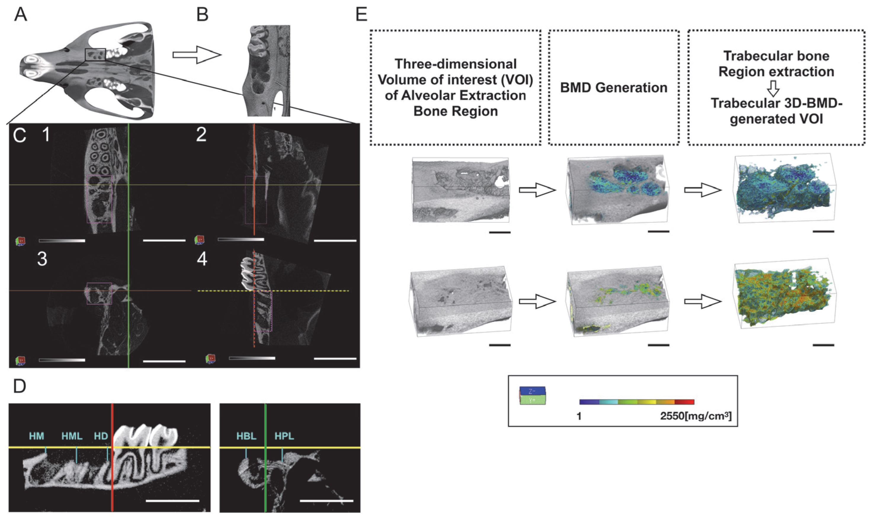 Ijms 24 03699 g008 550