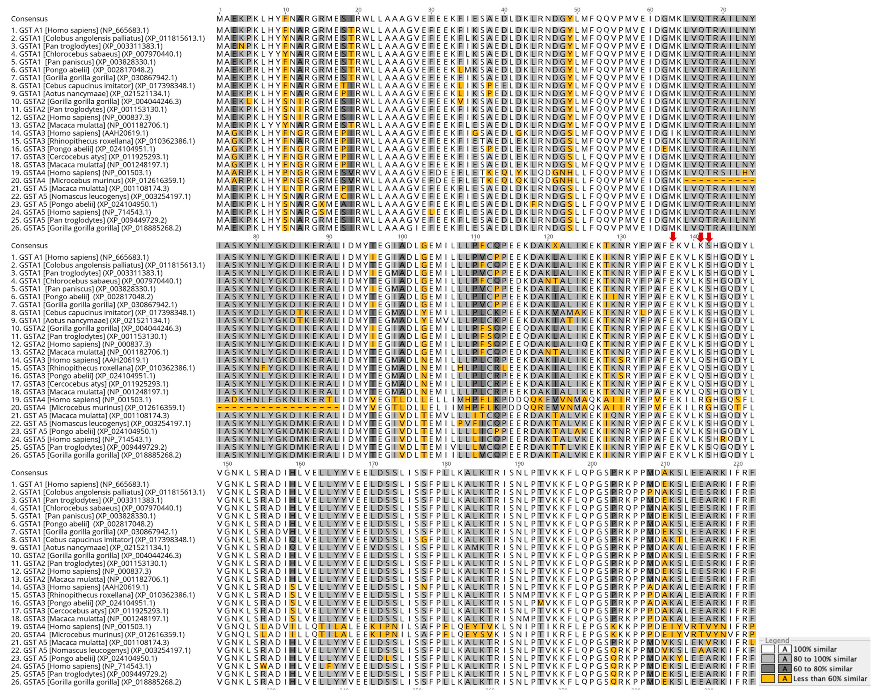 Ijms 24 03700 g001 Ijms 24 03700 g001