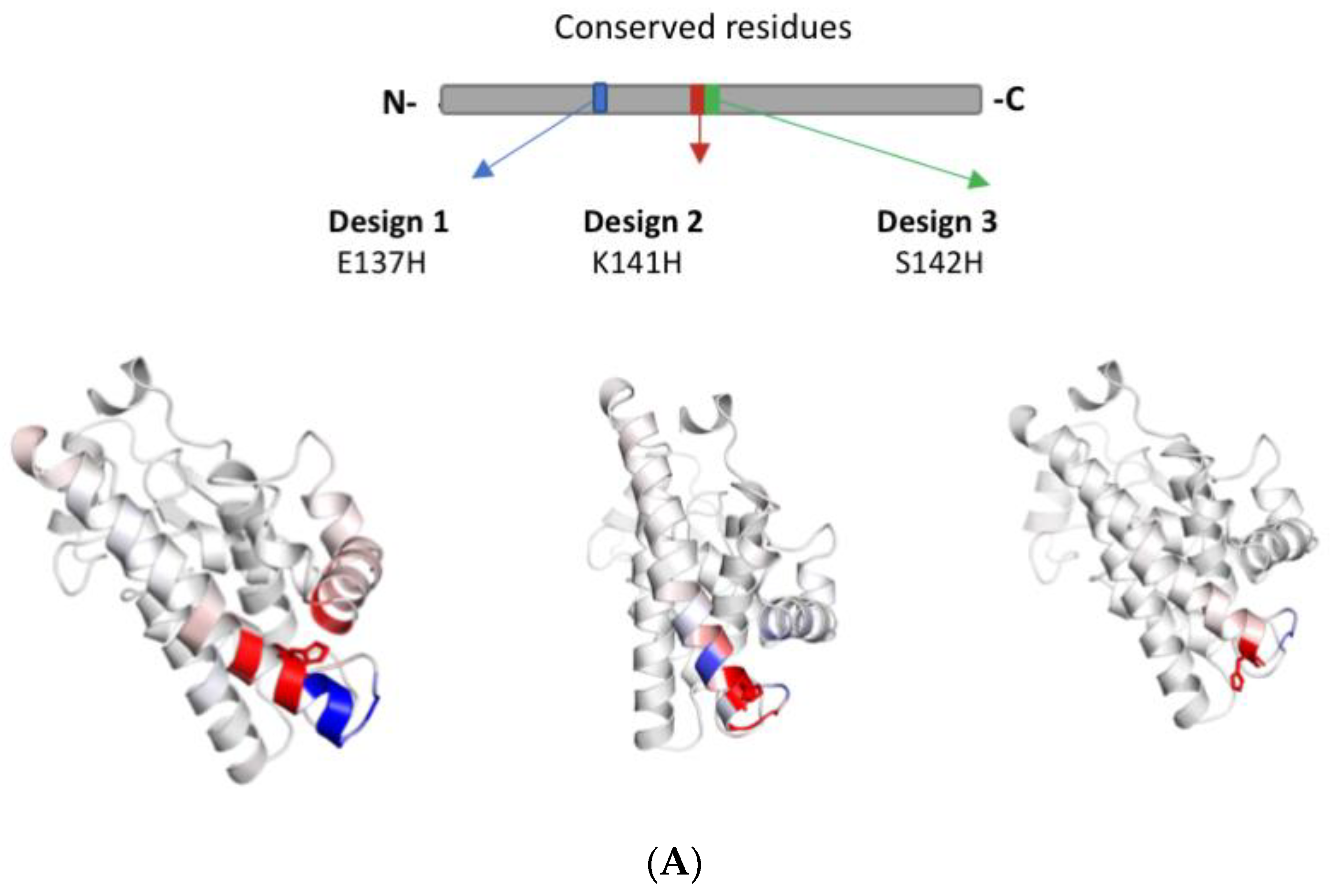 Ijms 24 03700 g002a Ijms 24 03700 g002a