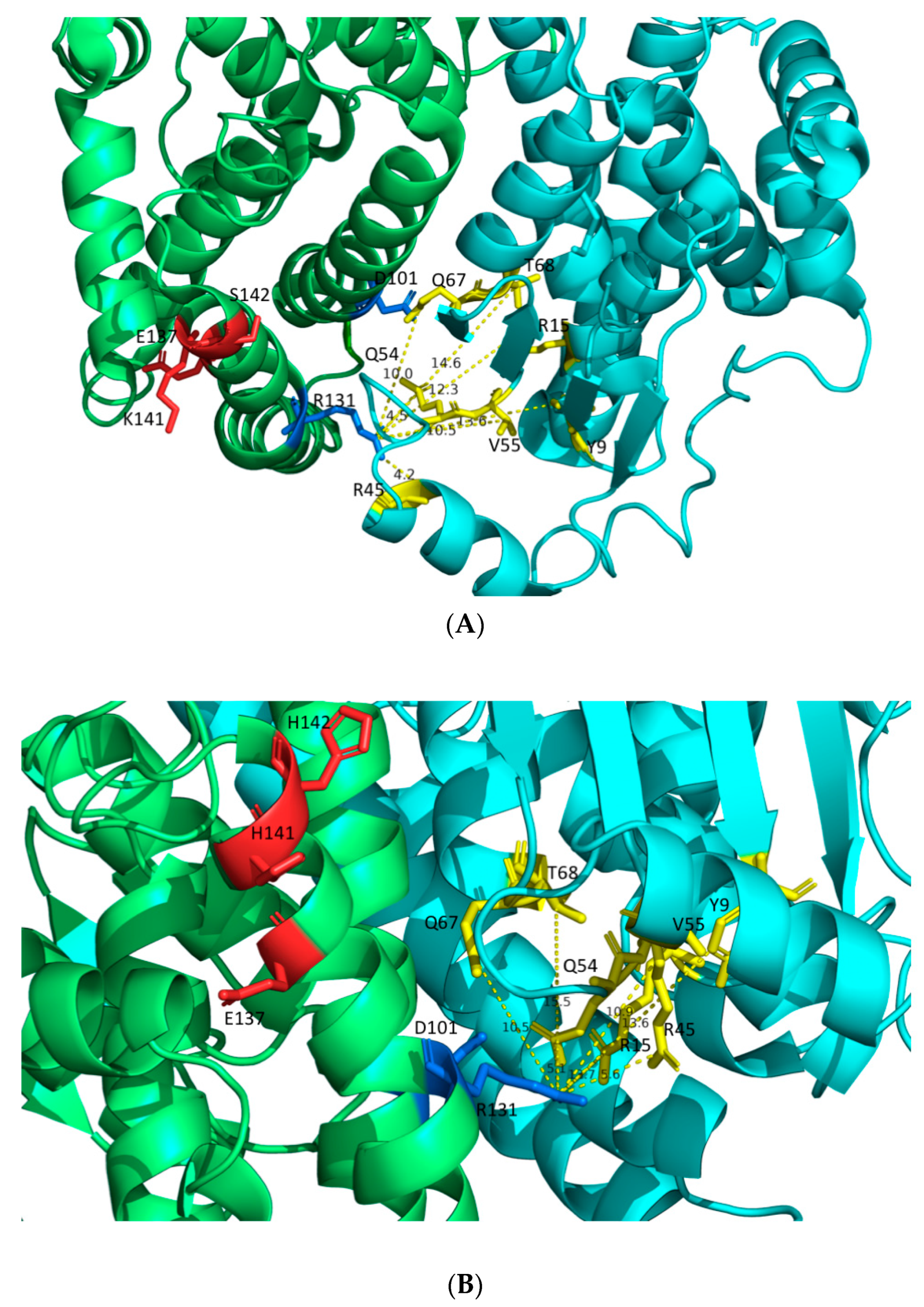 Ijms 24 03700 g009 Ijms 24 03700 g009