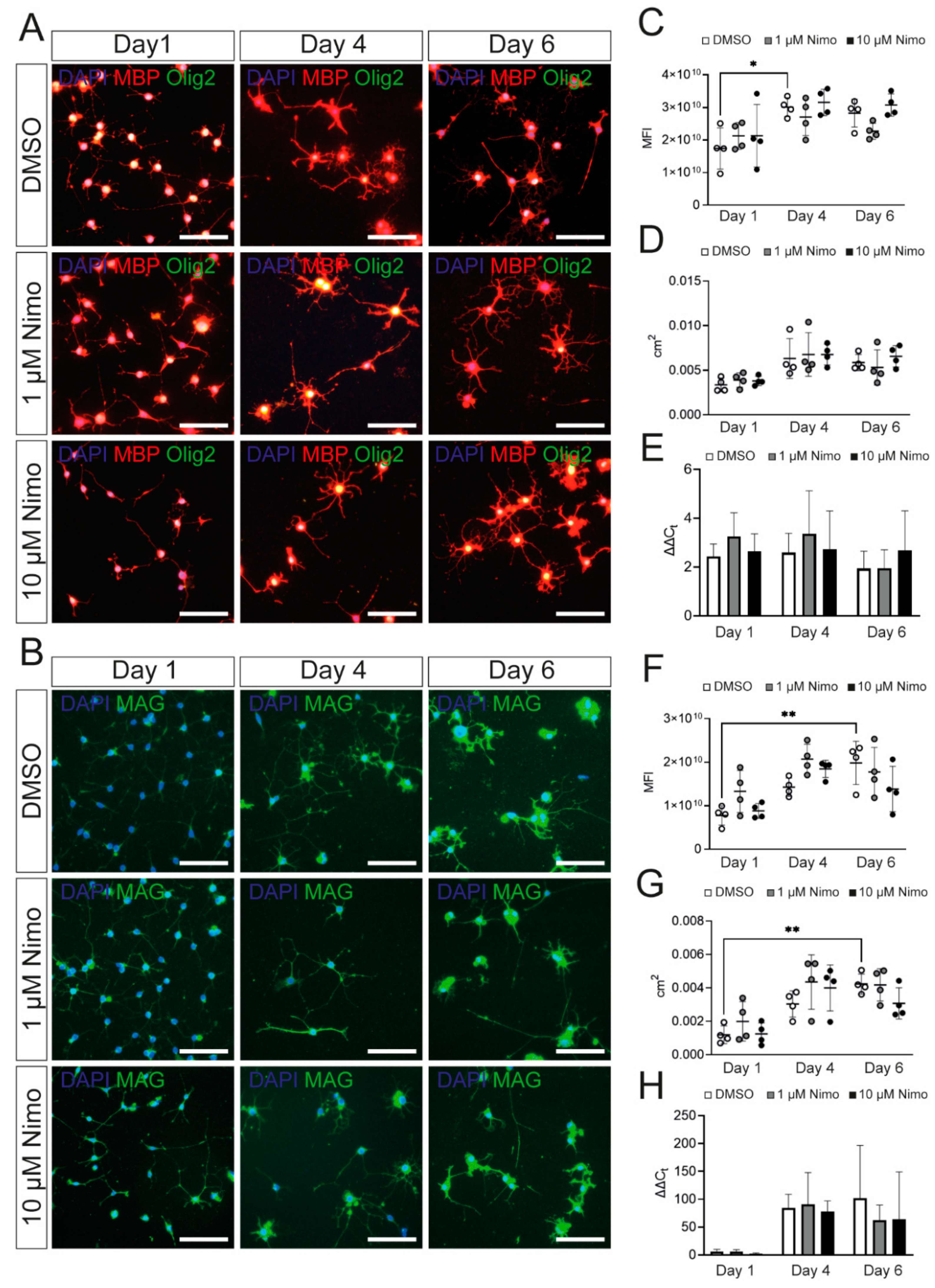 Ijms 24 03716 g002 Ijms 24 03716 g002