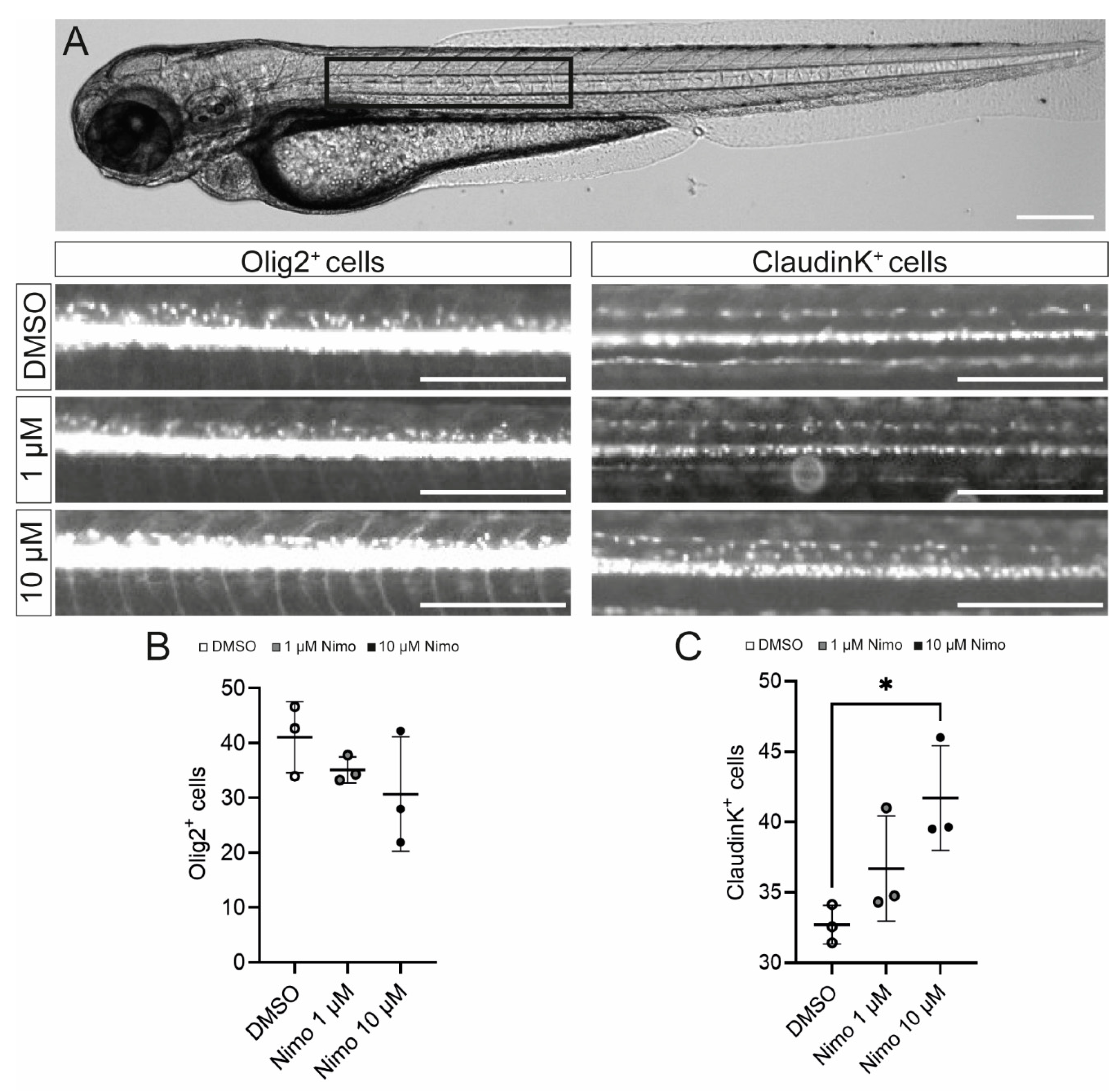 Ijms 24 03716 g006 Ijms 24 03716 g006