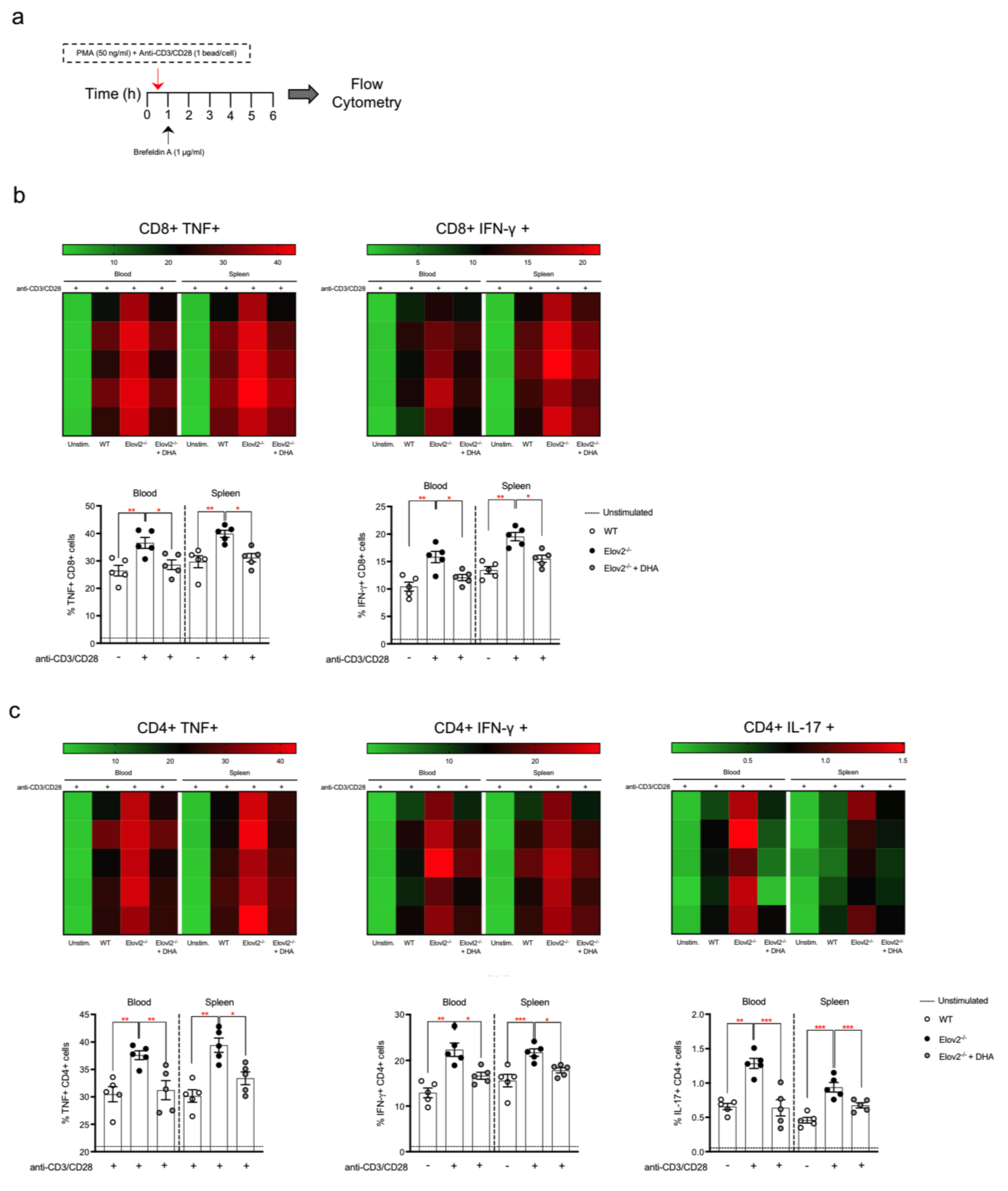 Ijms 24 03717 g002 Ijms 24 03717 g002