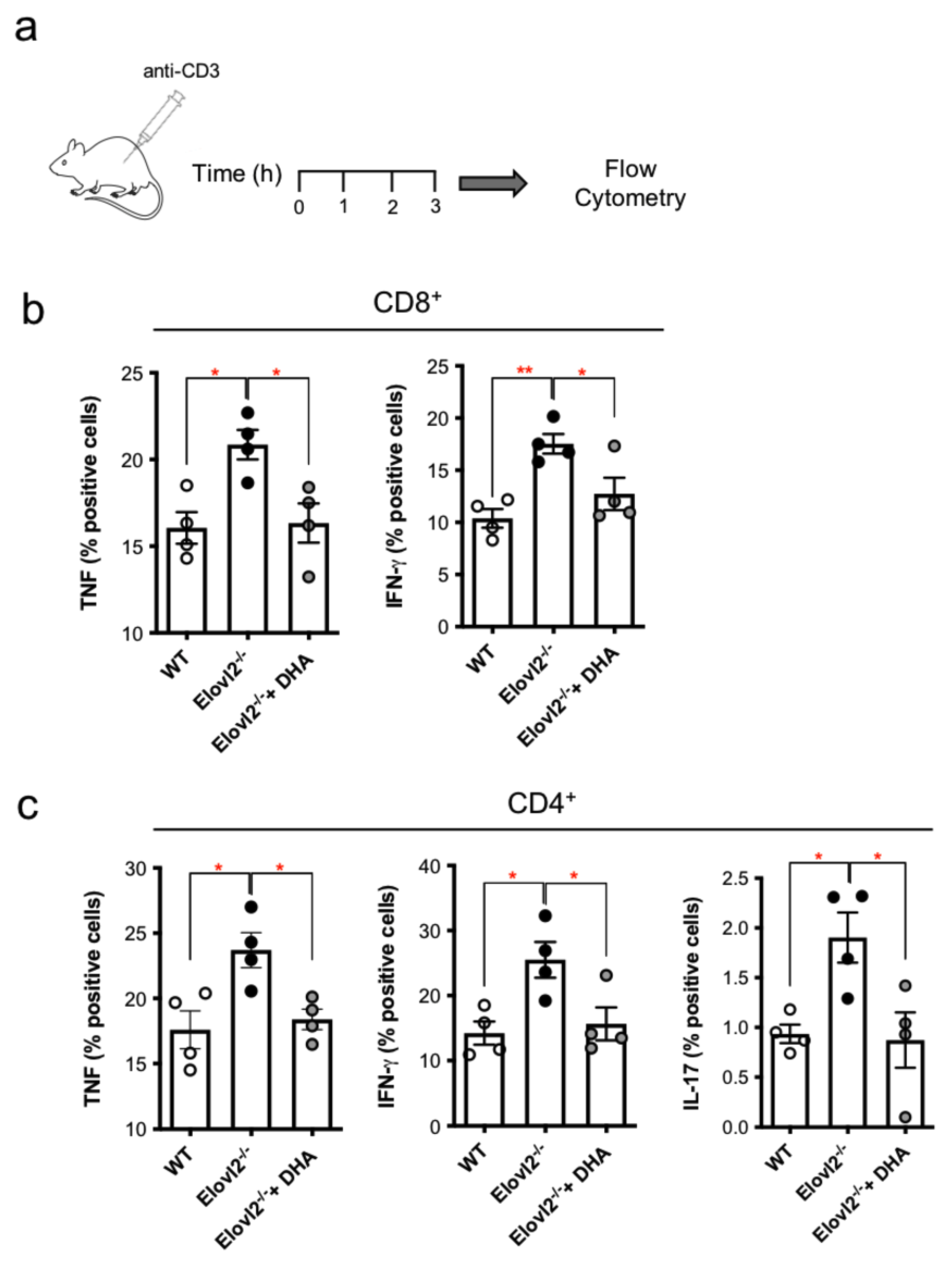 Ijms 24 03717 g003 Ijms 24 03717 g003