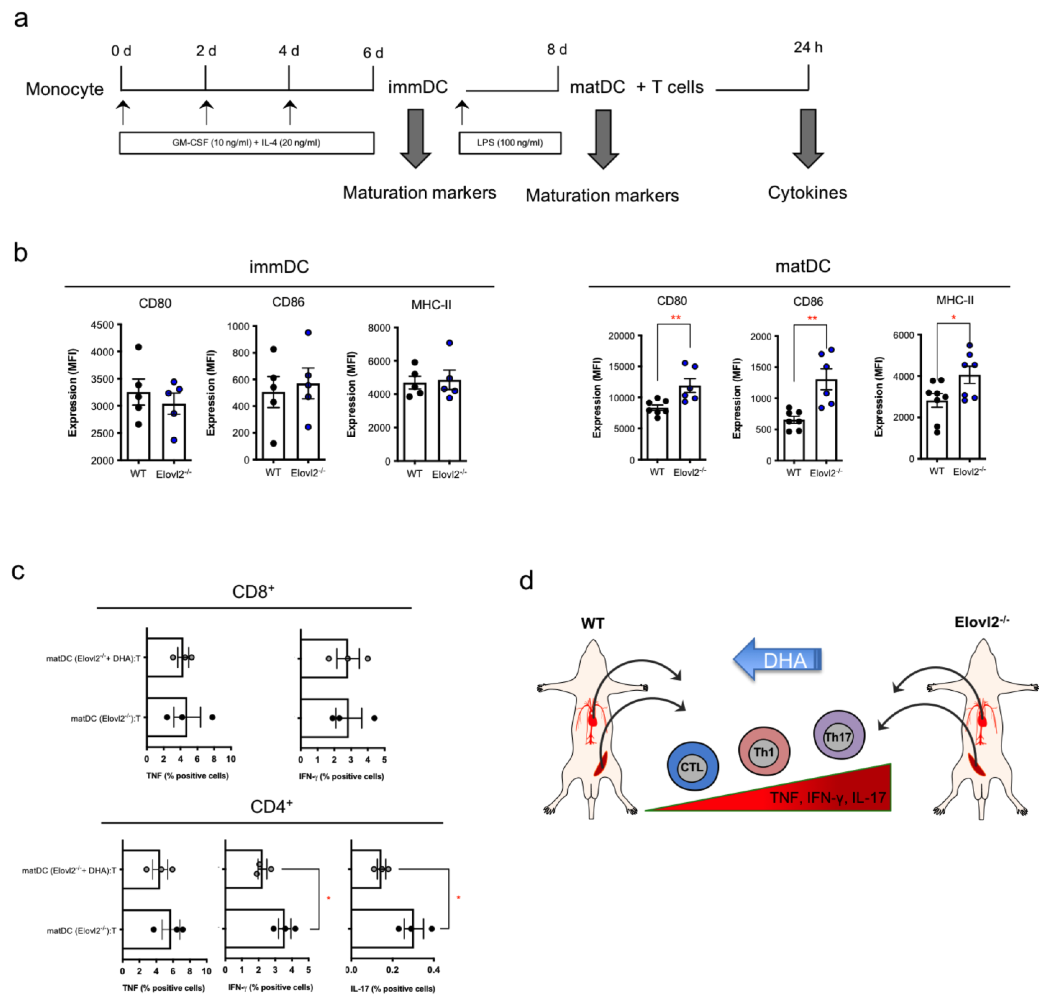 Ijms 24 03717 g004 Ijms 24 03717 g004
