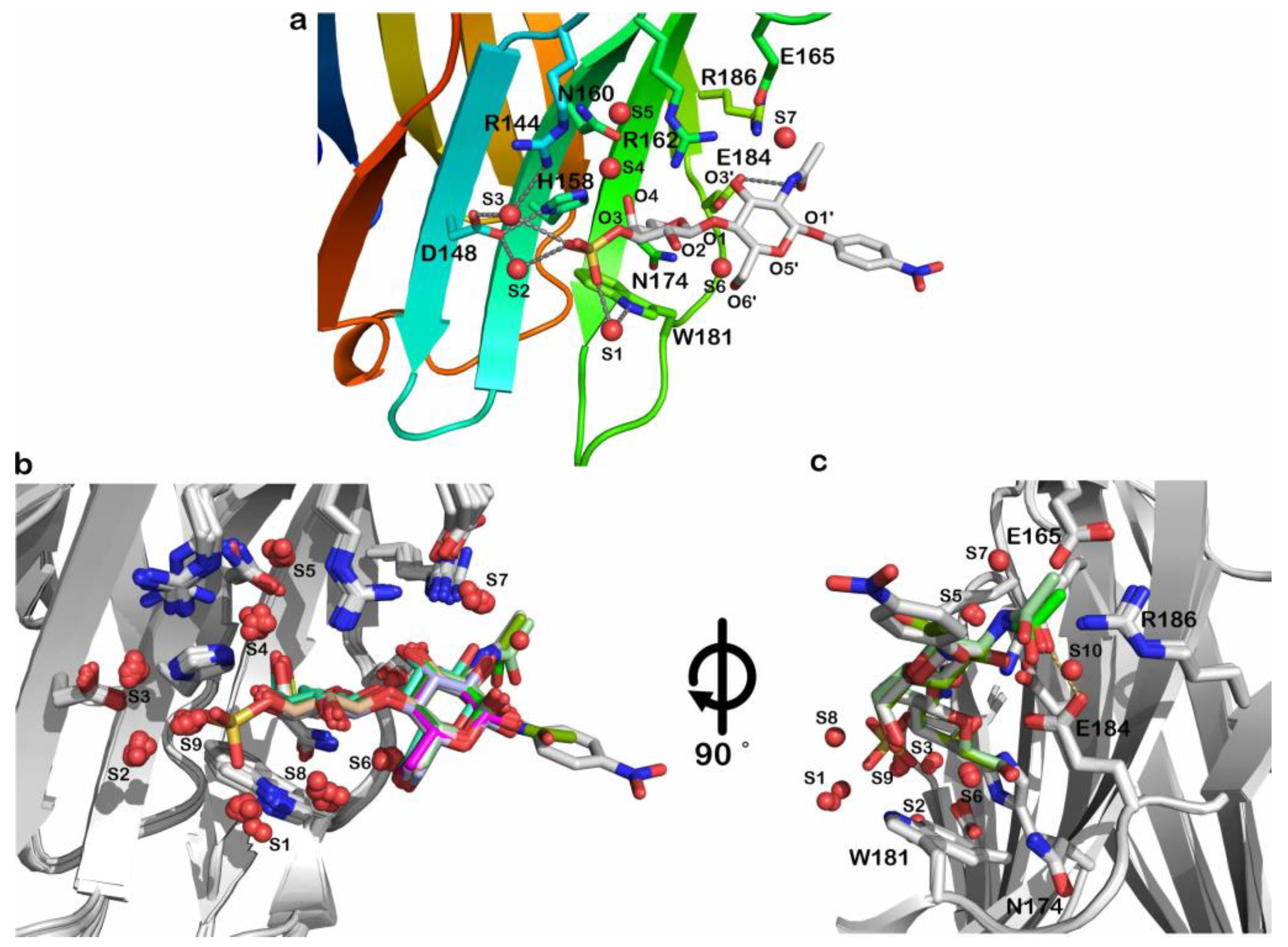 Ijms 24 03718 g003 Ijms 24 03718 g003