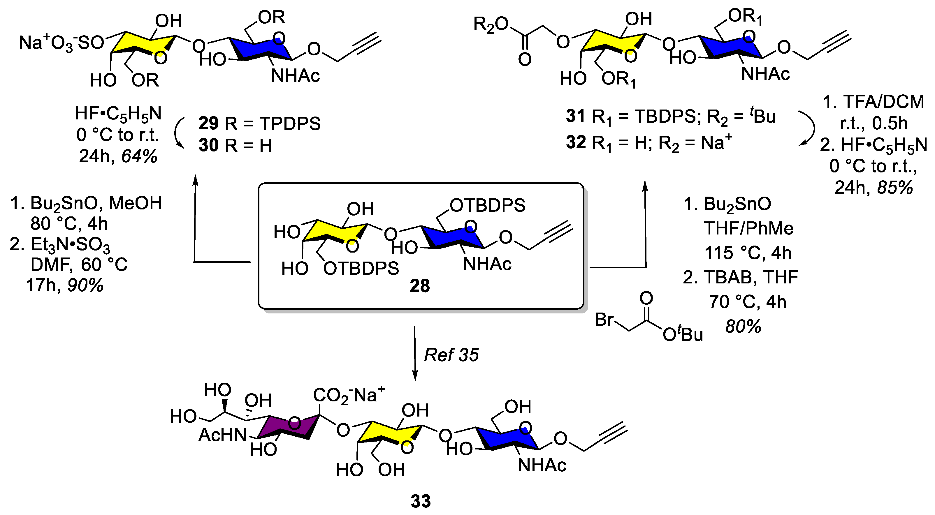 Ijms 24 03718 sch004 Ijms 24 03718 sch004