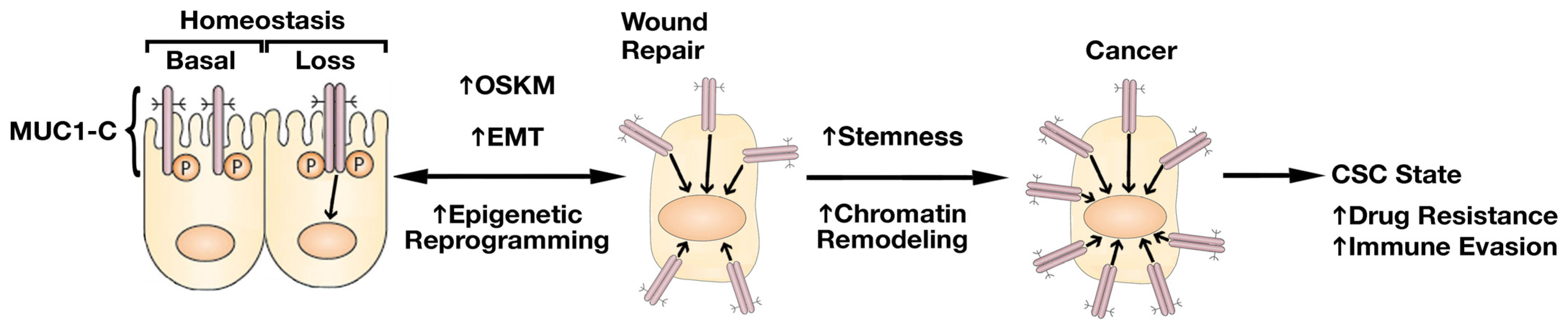 Ijms 24 03719 g001 Ijms 24 03719 g001