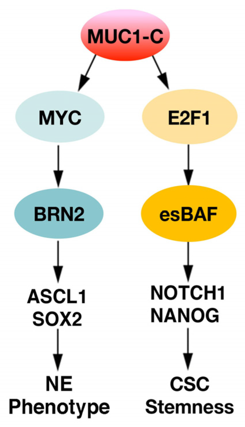 Ijms 24 03719 g003 Ijms 24 03719 g003