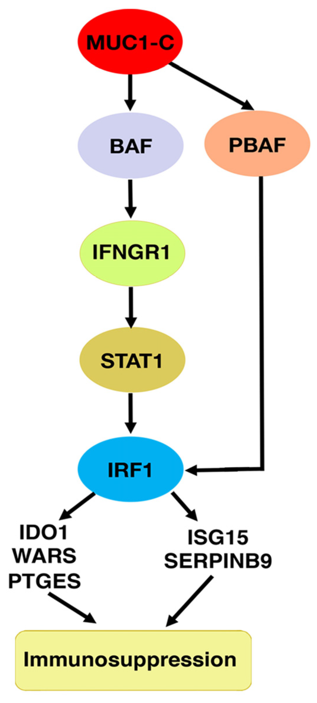 Ijms 24 03719 g005 Ijms 24 03719 g005