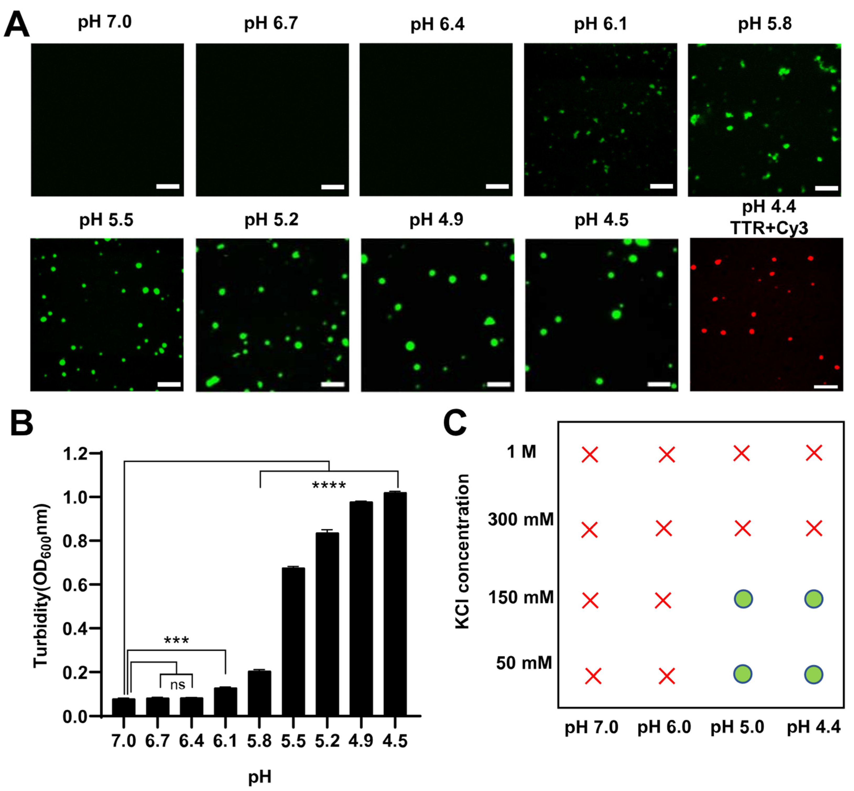 Ijms 24 03729 g001 Ijms 24 03729 g001