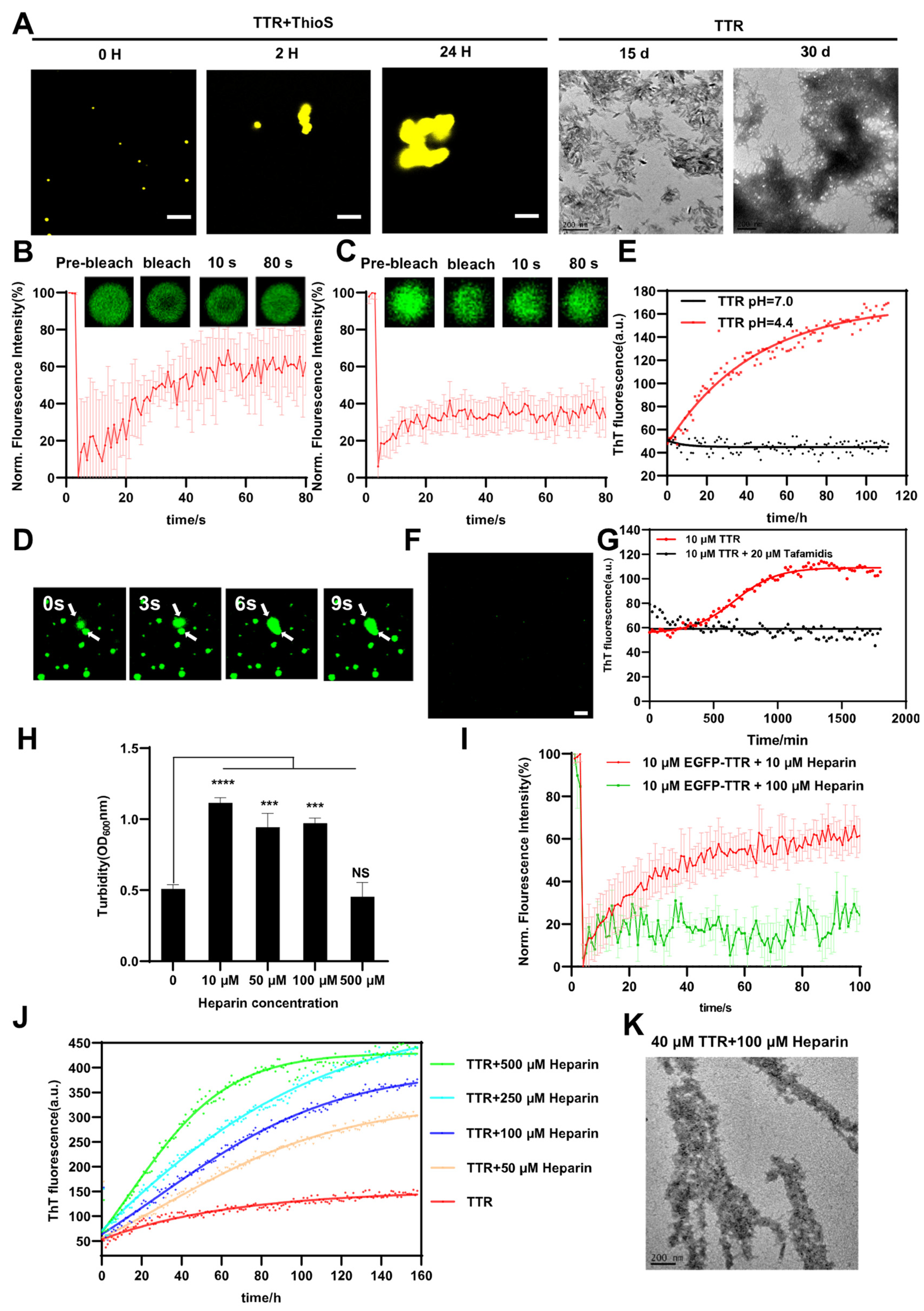 Ijms 24 03729 g002 Ijms 24 03729 g002