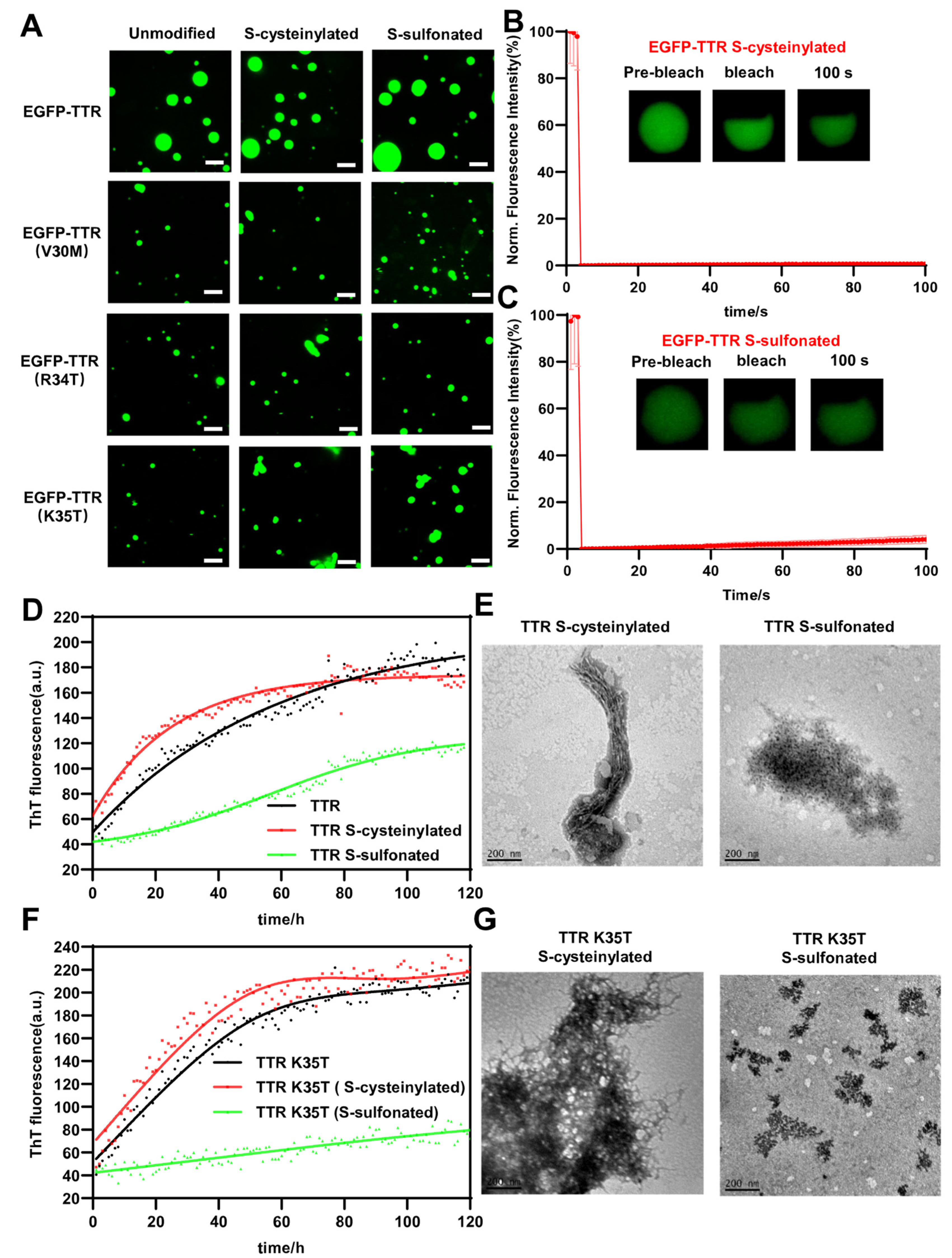Ijms 24 03729 g004 Ijms 24 03729 g004