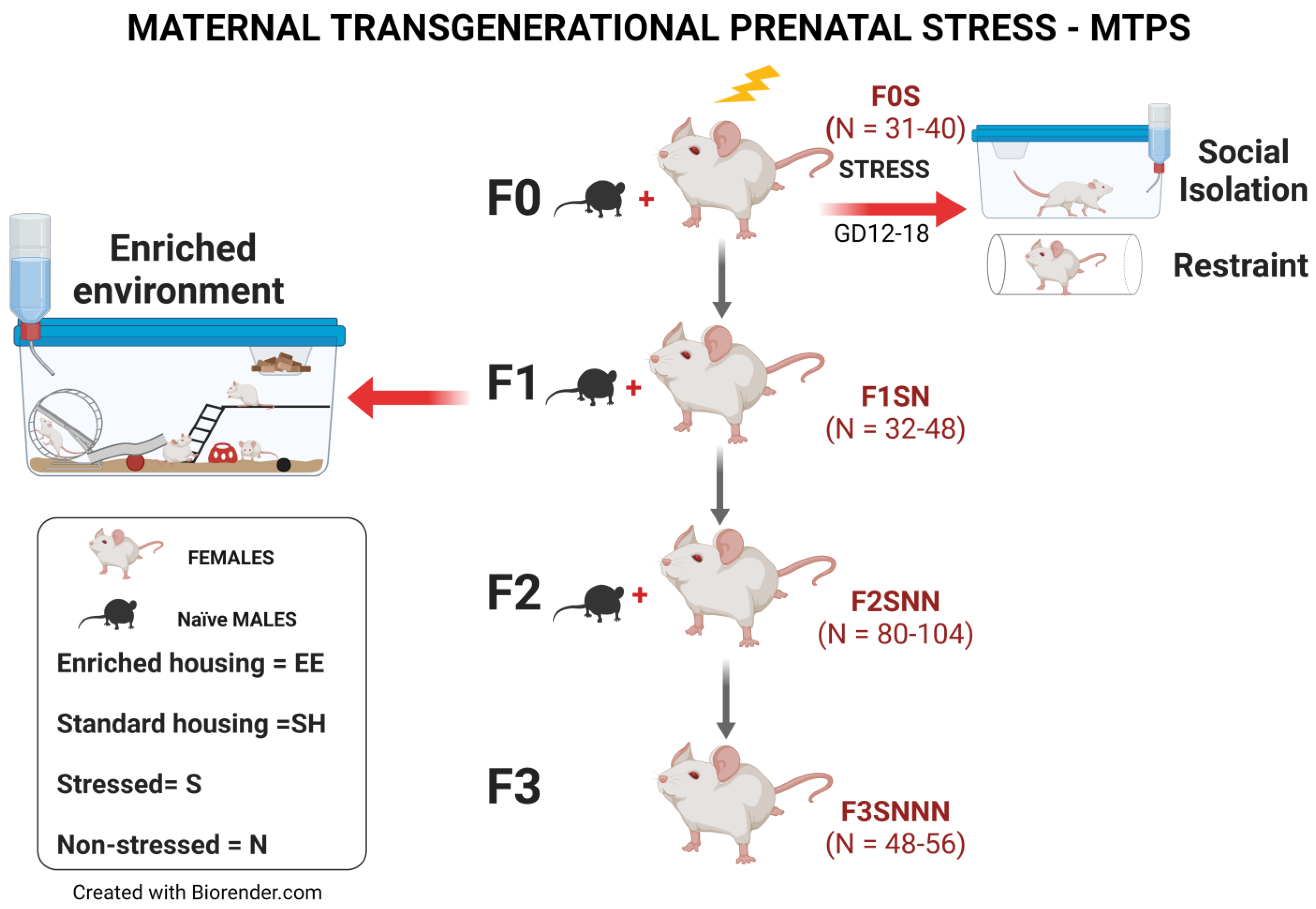 Ijms 24 03734 g001 Ijms 24 03734 g001