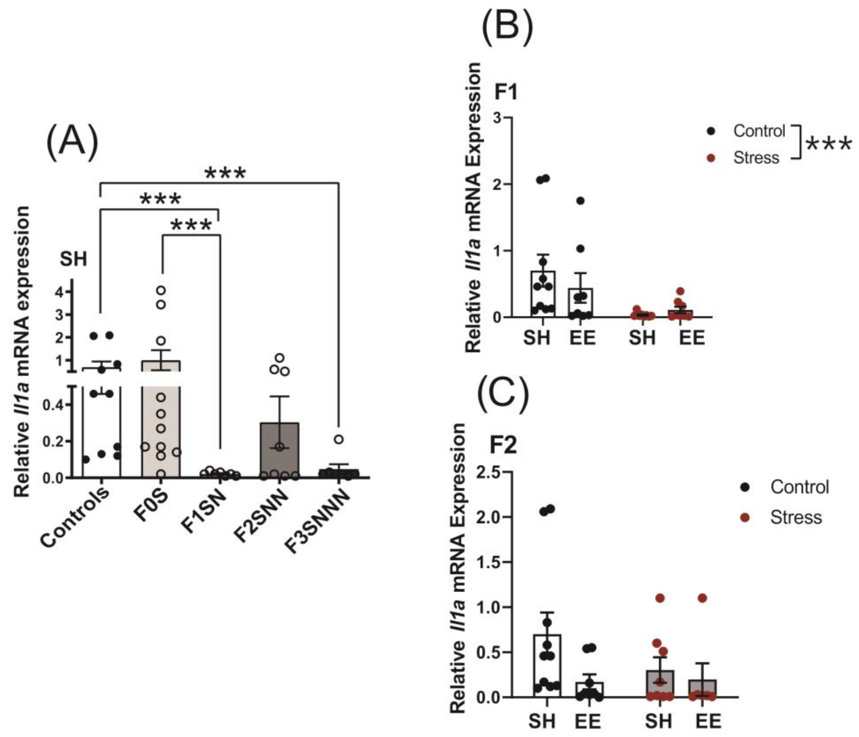 Ijms 24 03734 g007 Ijms 24 03734 g007