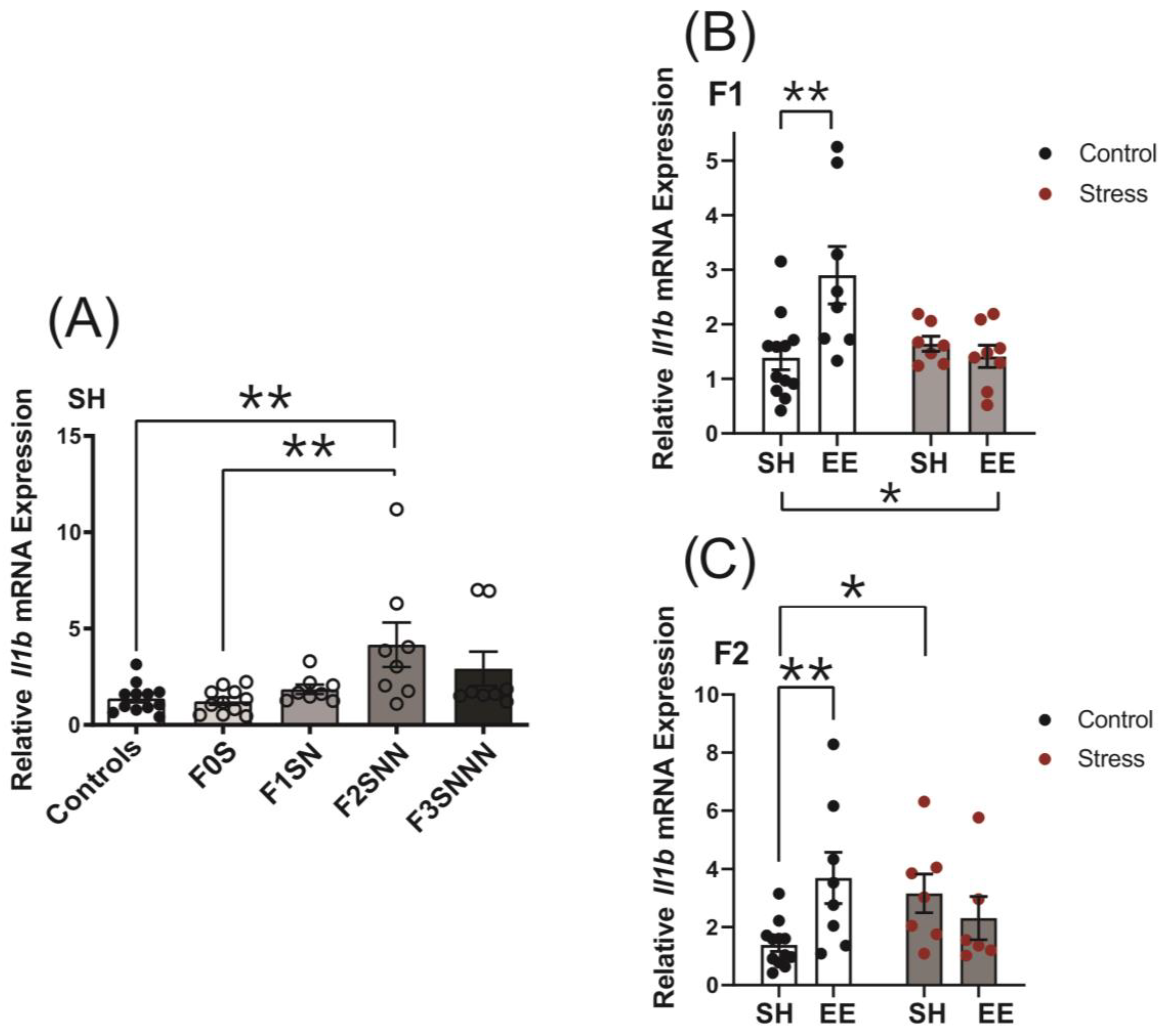 Ijms 24 03734 g008 Ijms 24 03734 g008