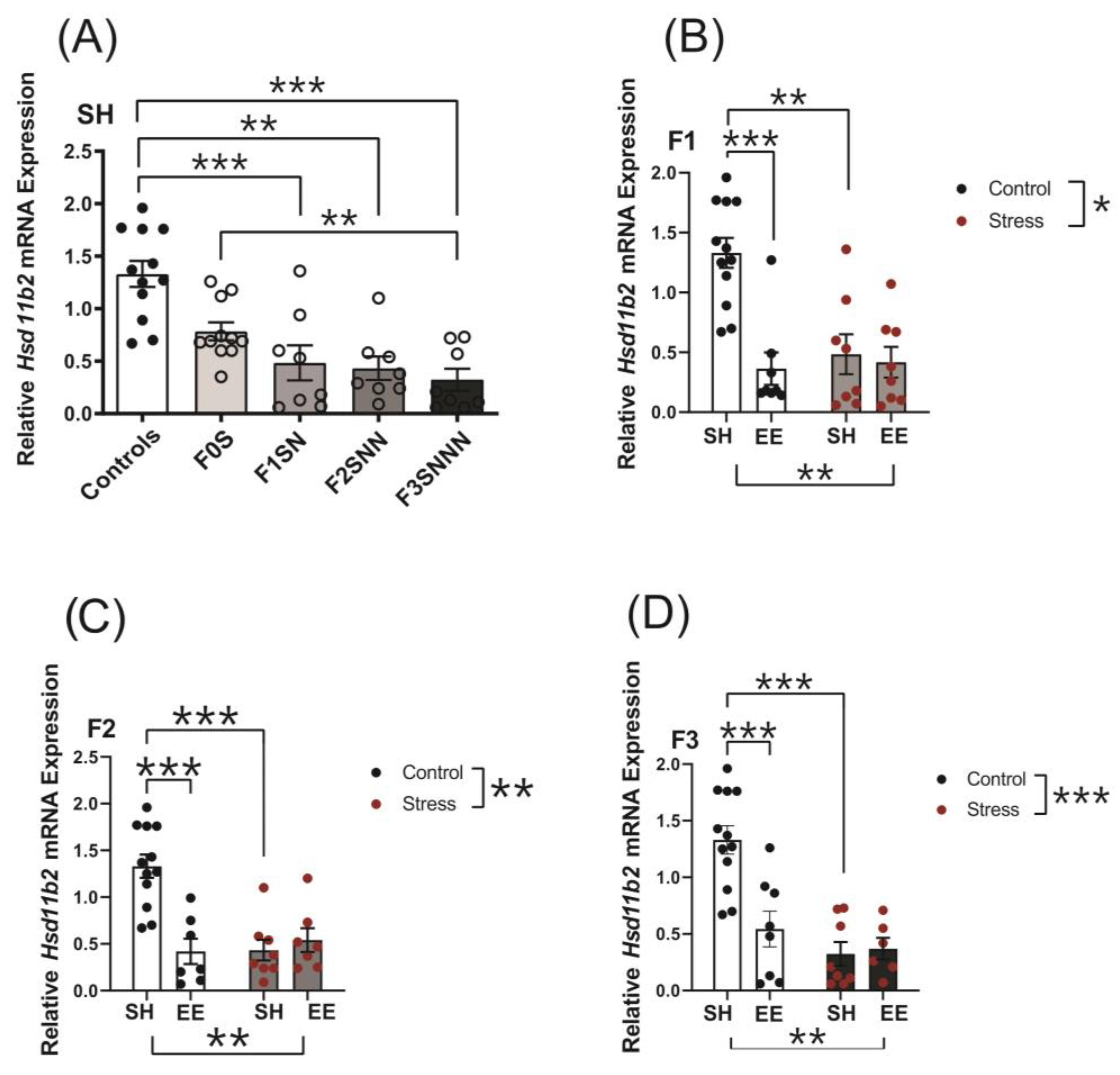 Ijms 24 03734 g010 Ijms 24 03734 g010