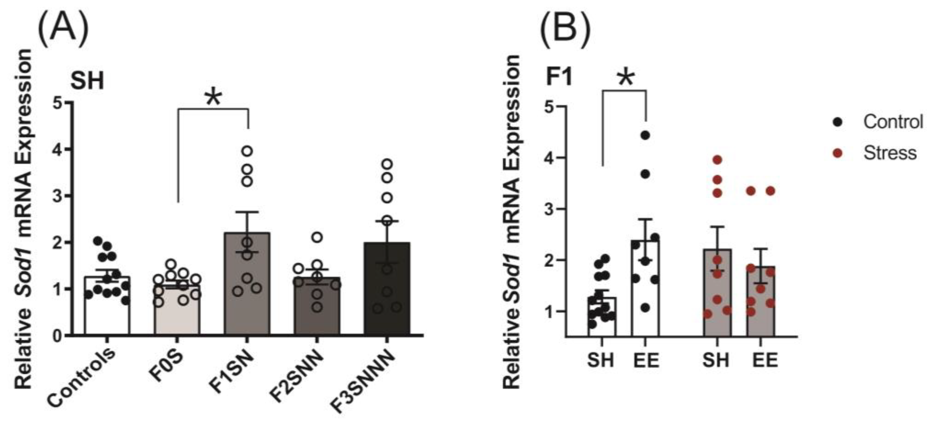 Ijms 24 03734 g012 Ijms 24 03734 g012
