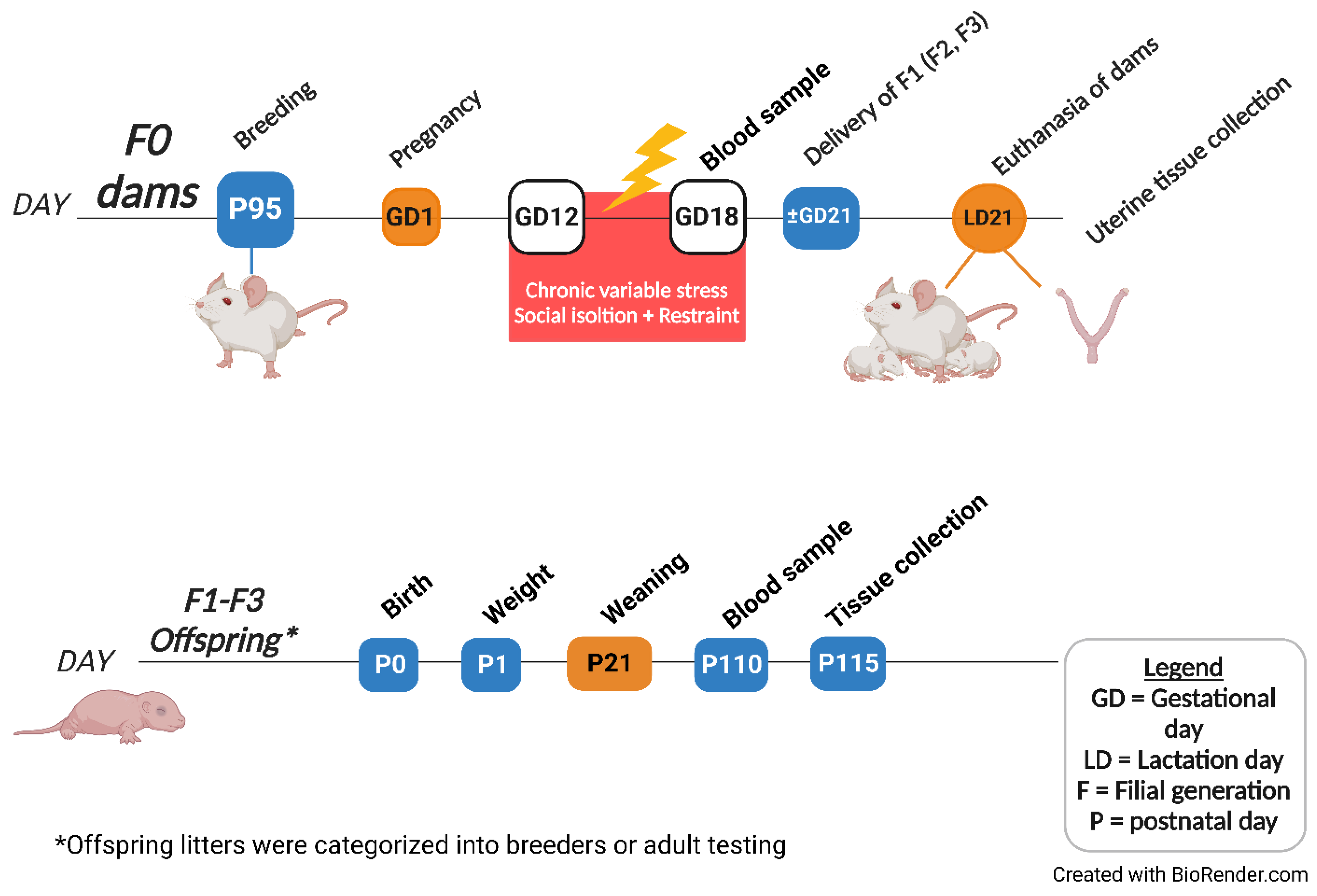 Ijms 24 03734 g014 Ijms 24 03734 g014