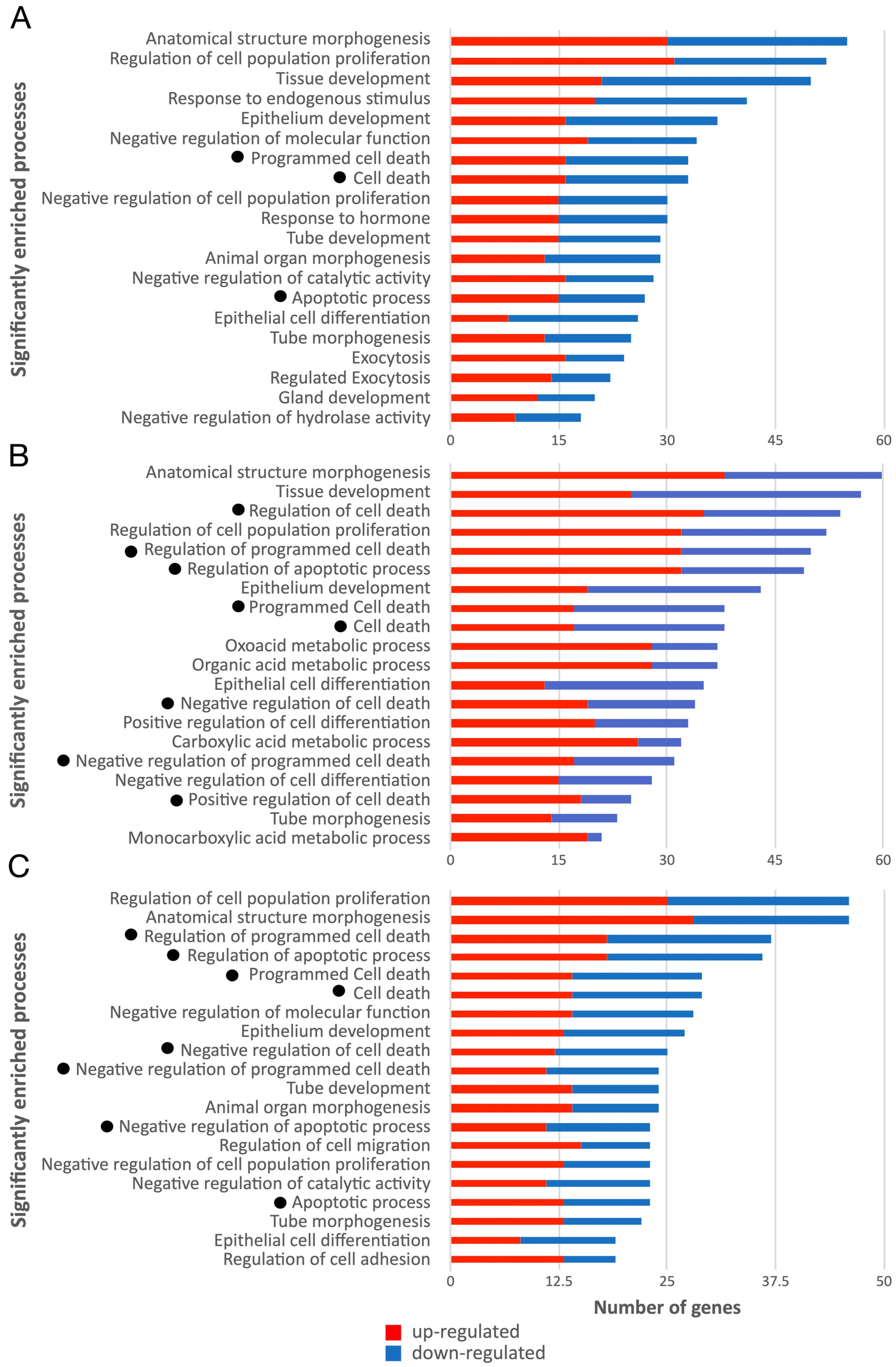 Ijms 24 03747 g007 Ijms 24 03747 g007