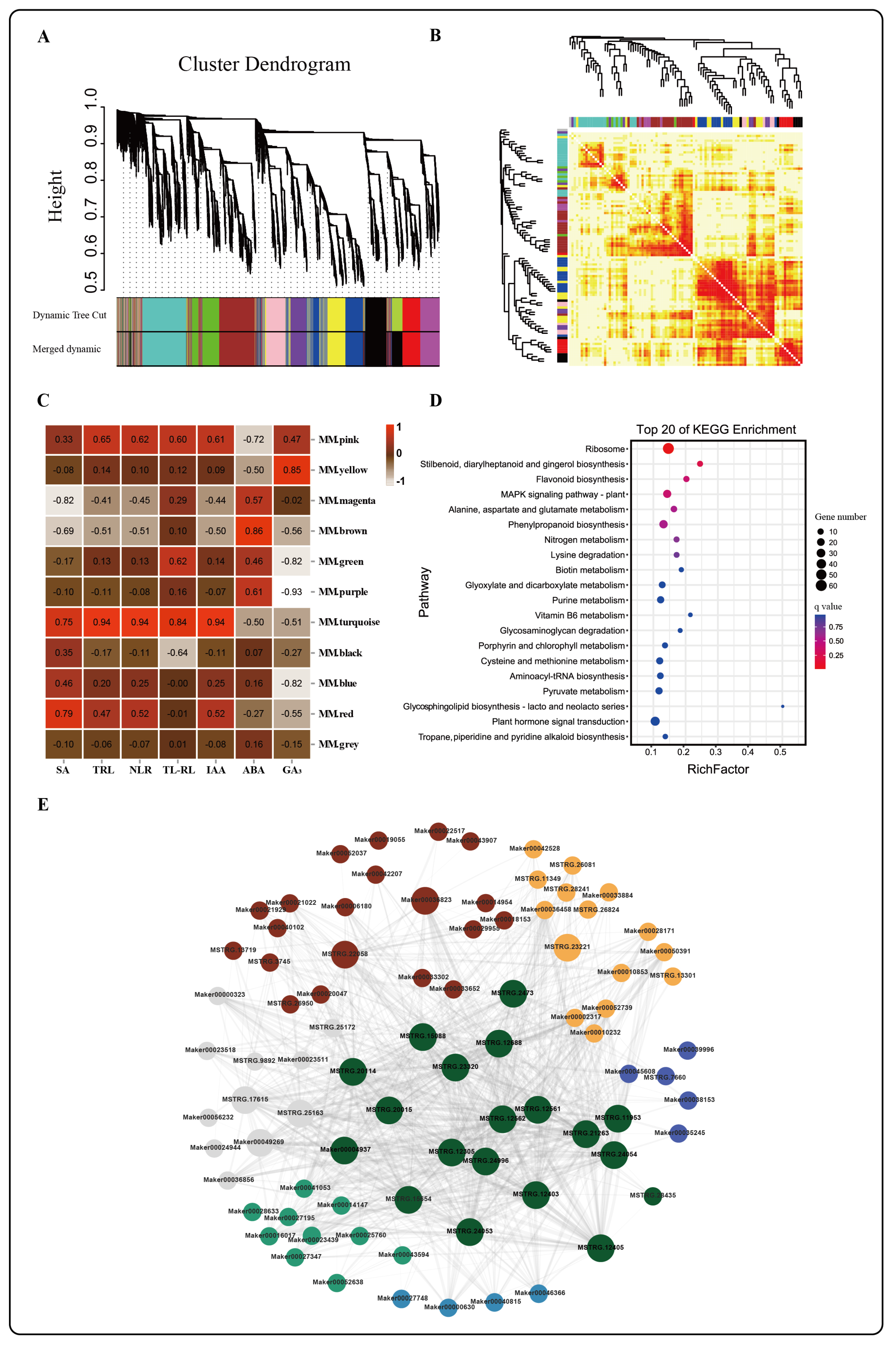 Ijms 24 03753 g004 550