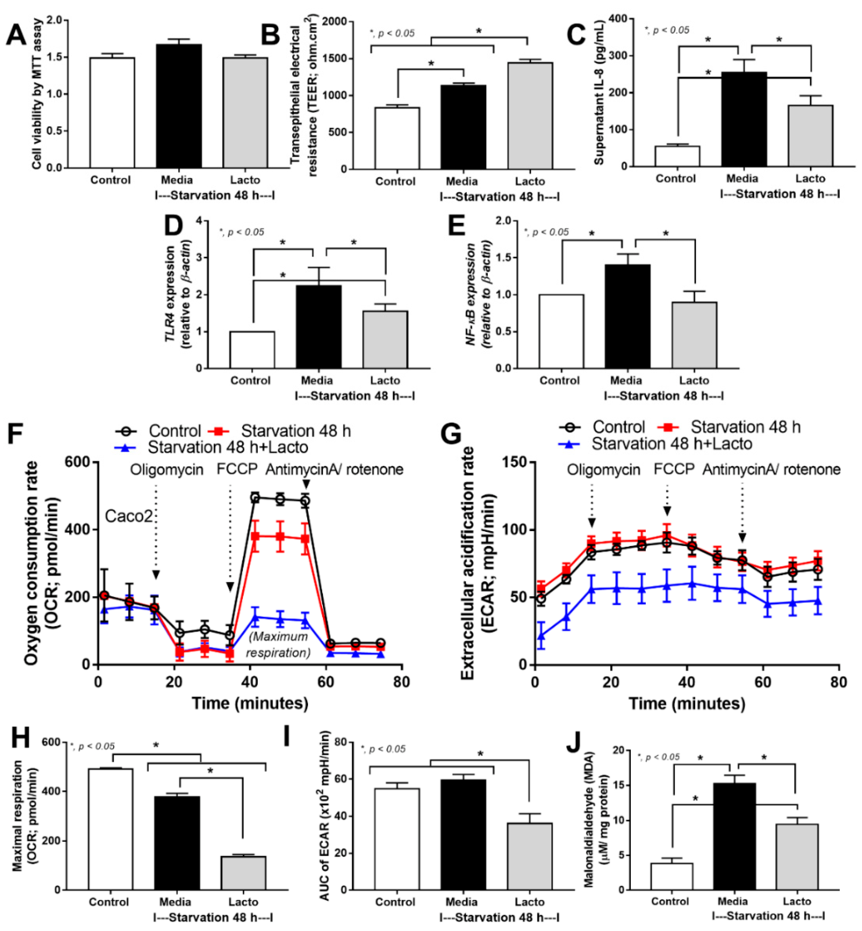 Ijms 24 03756 g004 Ijms 24 03756 g004