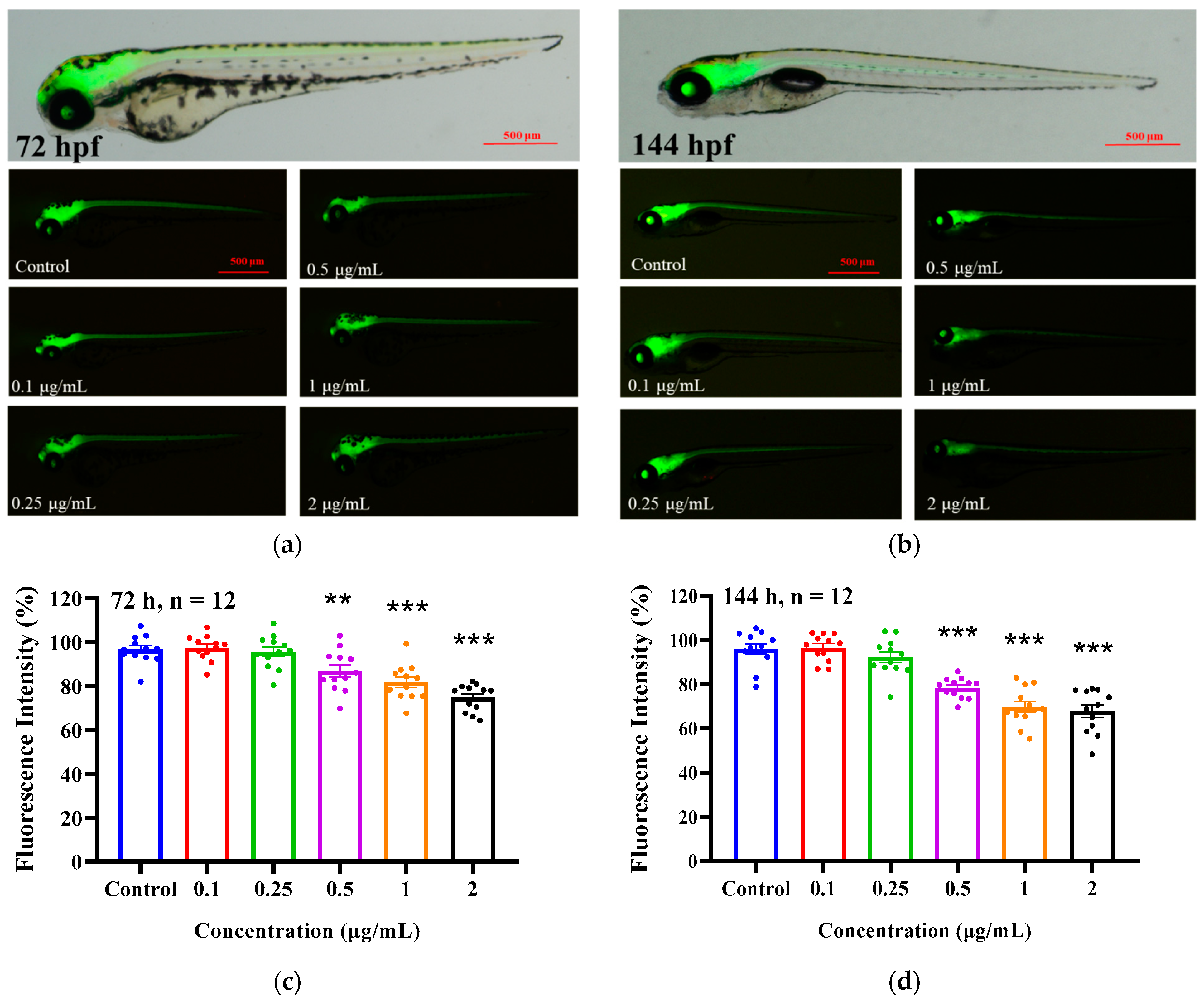 Ijms 24 03757 g003 550