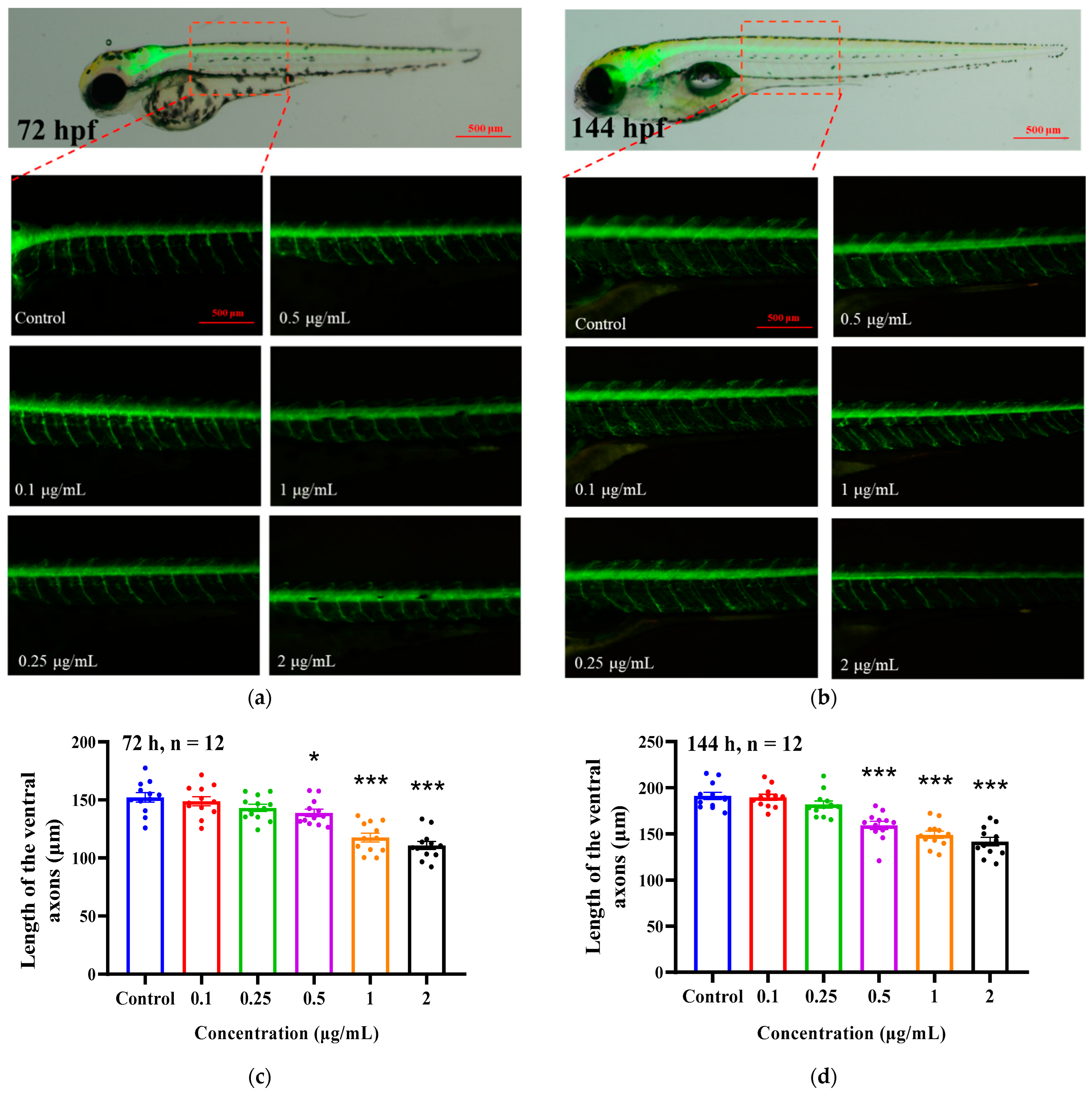 Ijms 24 03757 g004 550