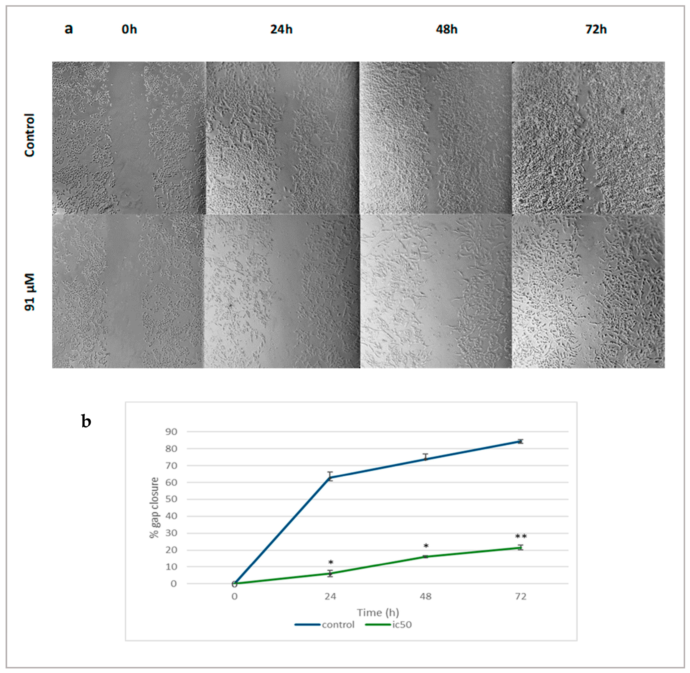 Ijms 24 03760 g008 Ijms 24 03760 g008