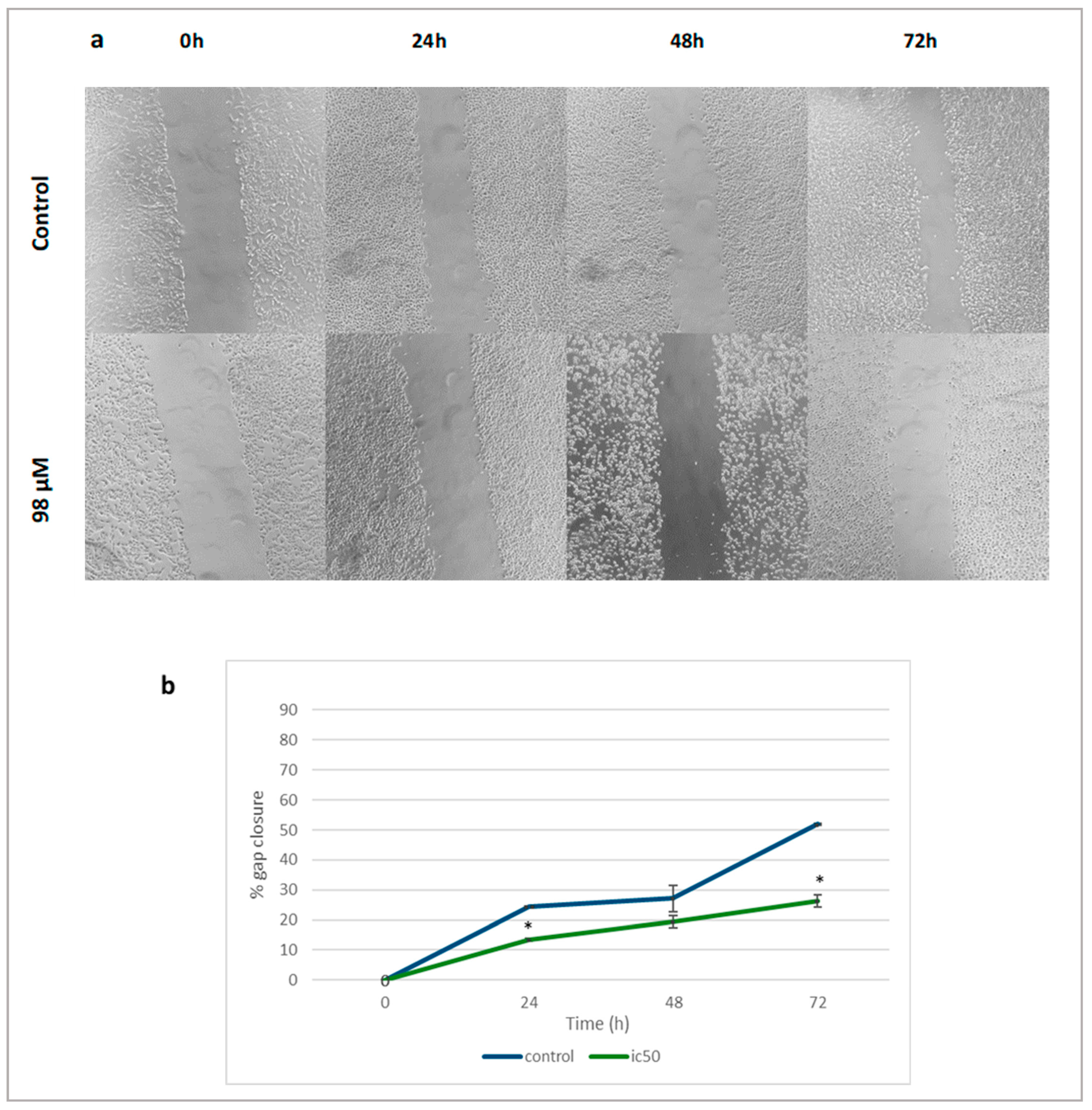 Ijms 24 03760 g009 Ijms 24 03760 g009