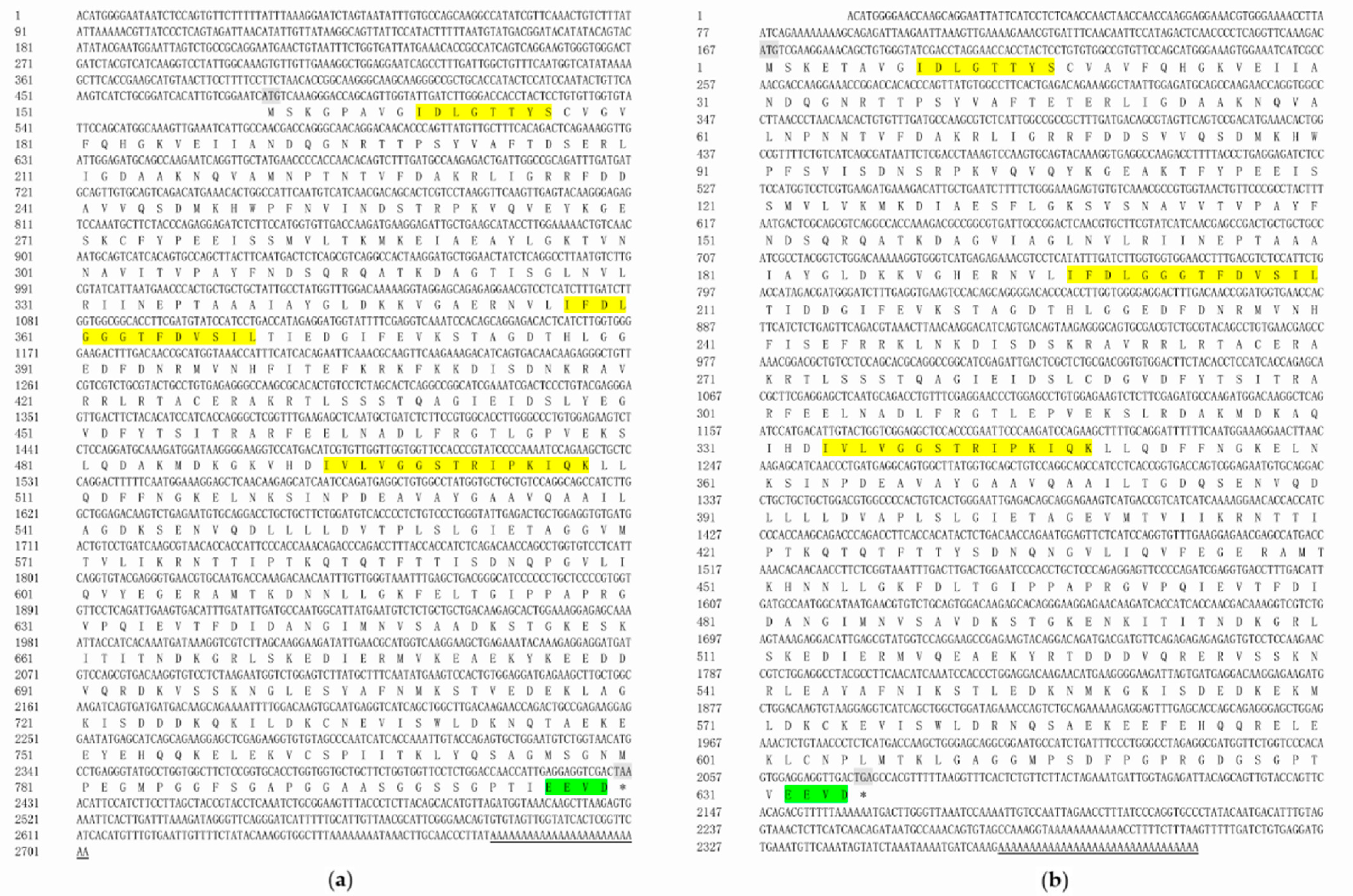 Ijms 24 03761 g001 Ijms 24 03761 g001