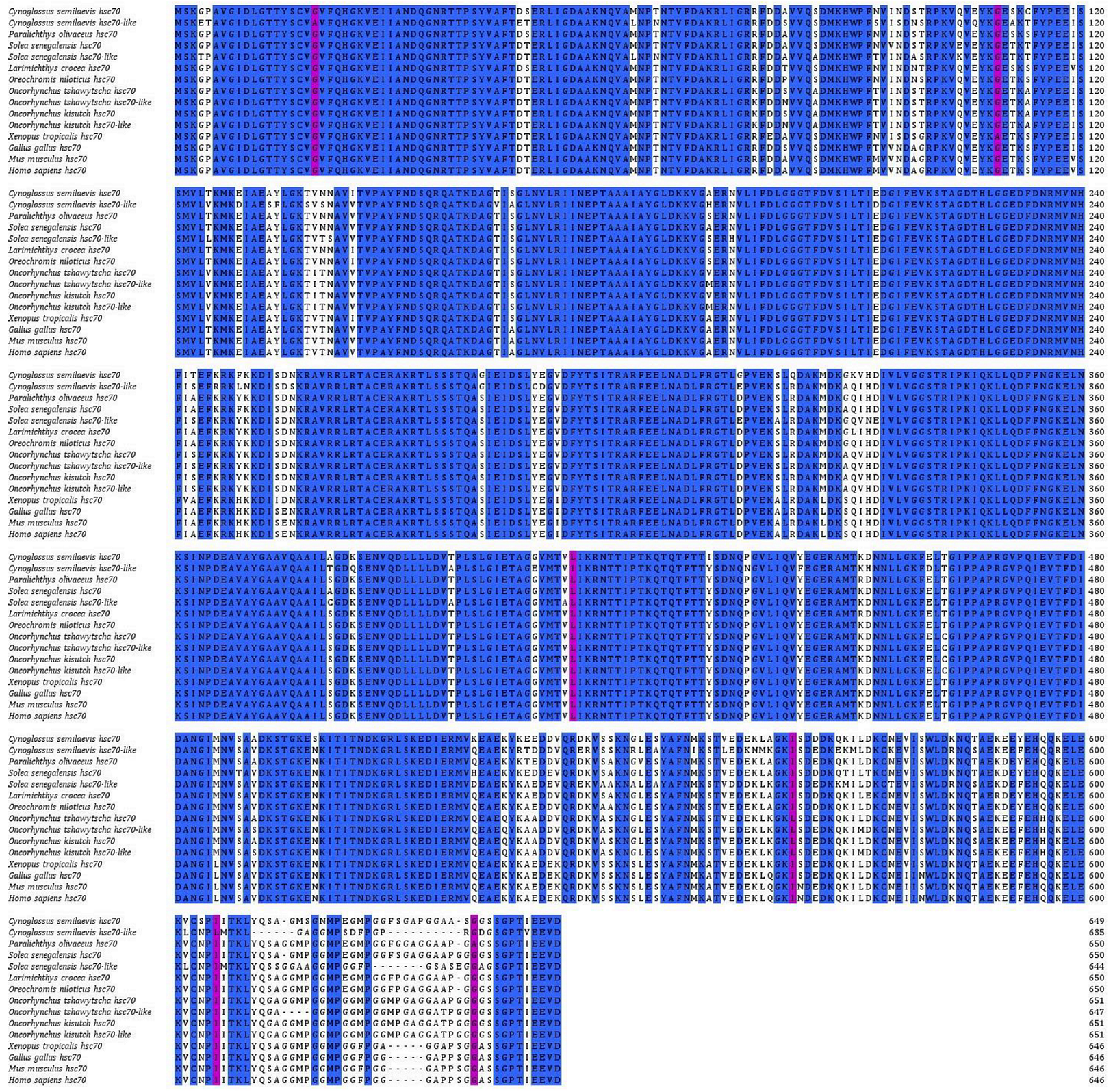 Ijms 24 03761 g002 Ijms 24 03761 g002