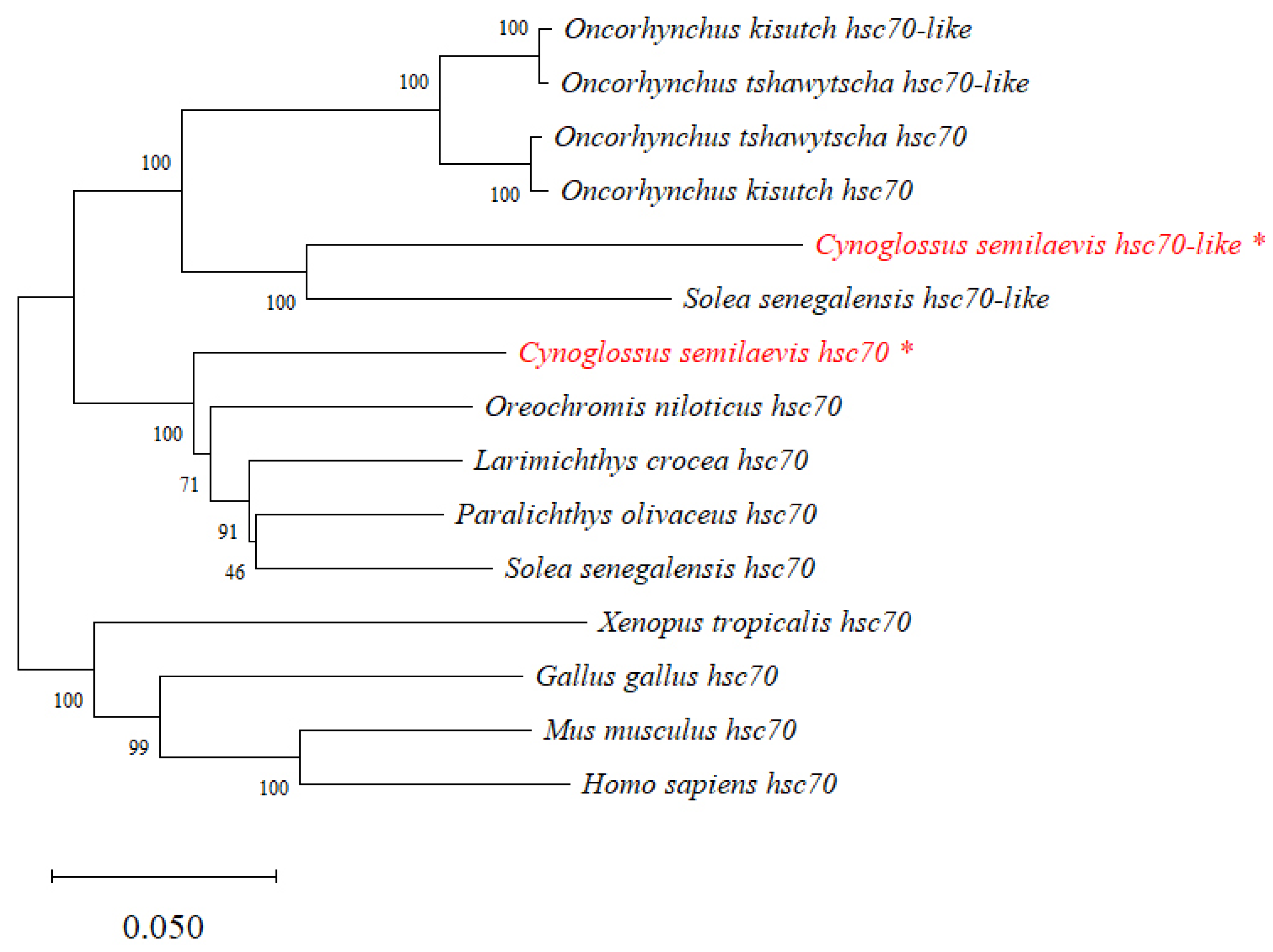 Ijms 24 03761 g003 Ijms 24 03761 g003