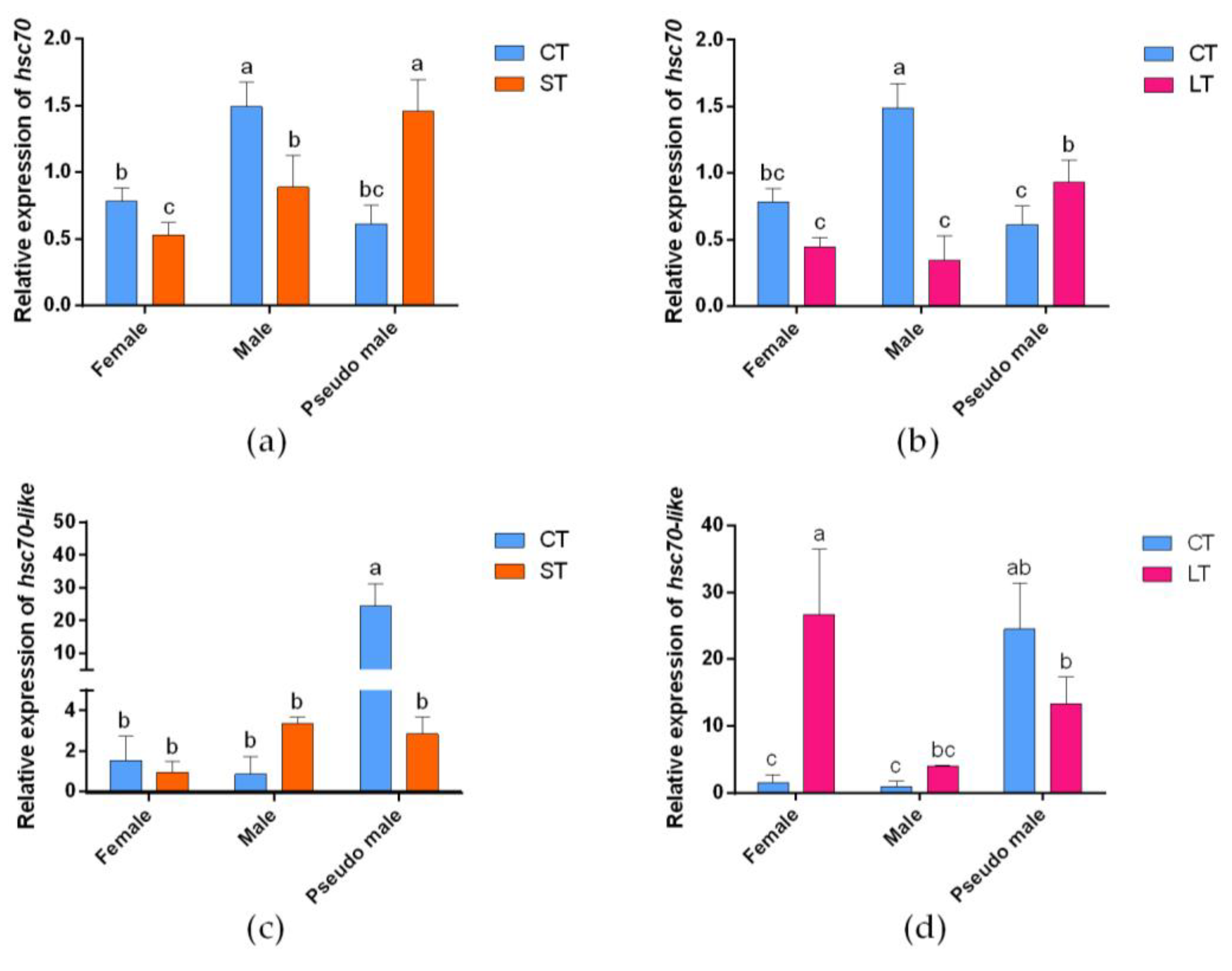 Ijms 24 03761 g006 Ijms 24 03761 g006