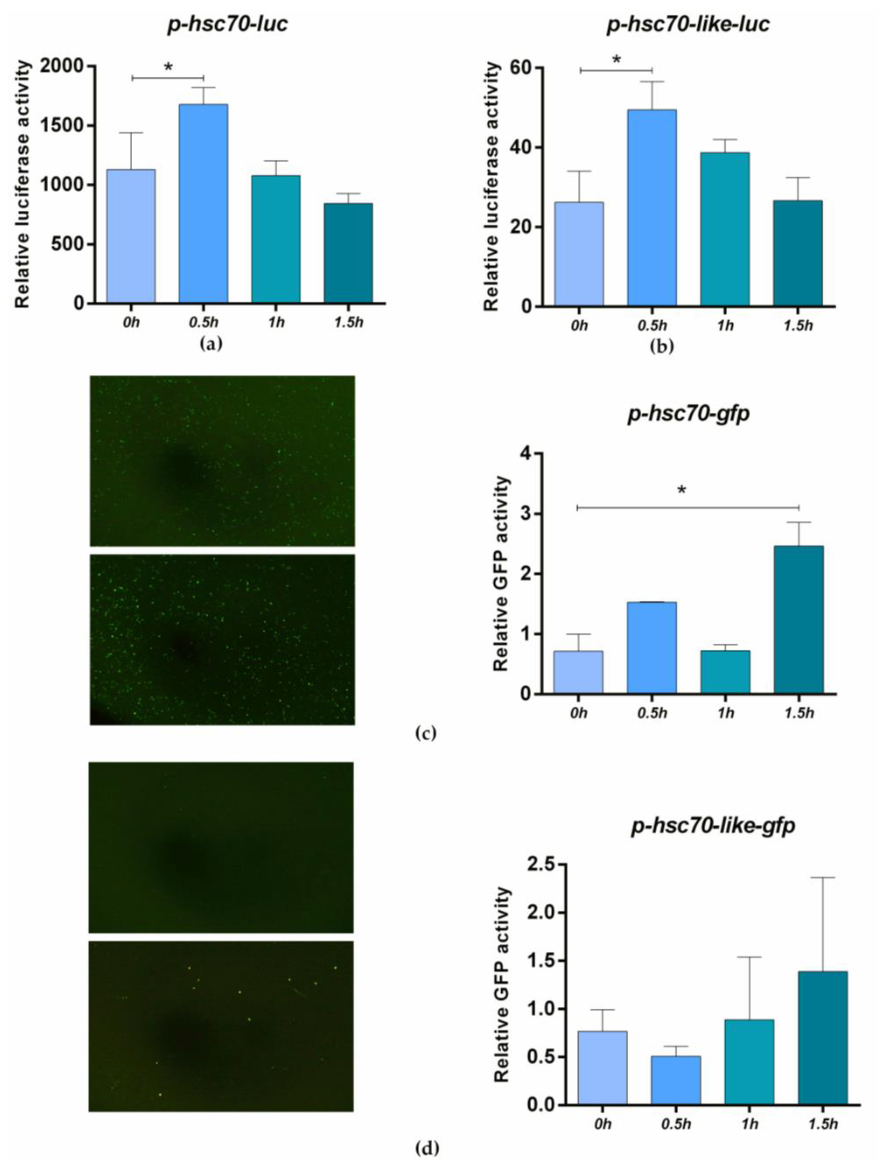 Ijms 24 03761 g007 Ijms 24 03761 g007