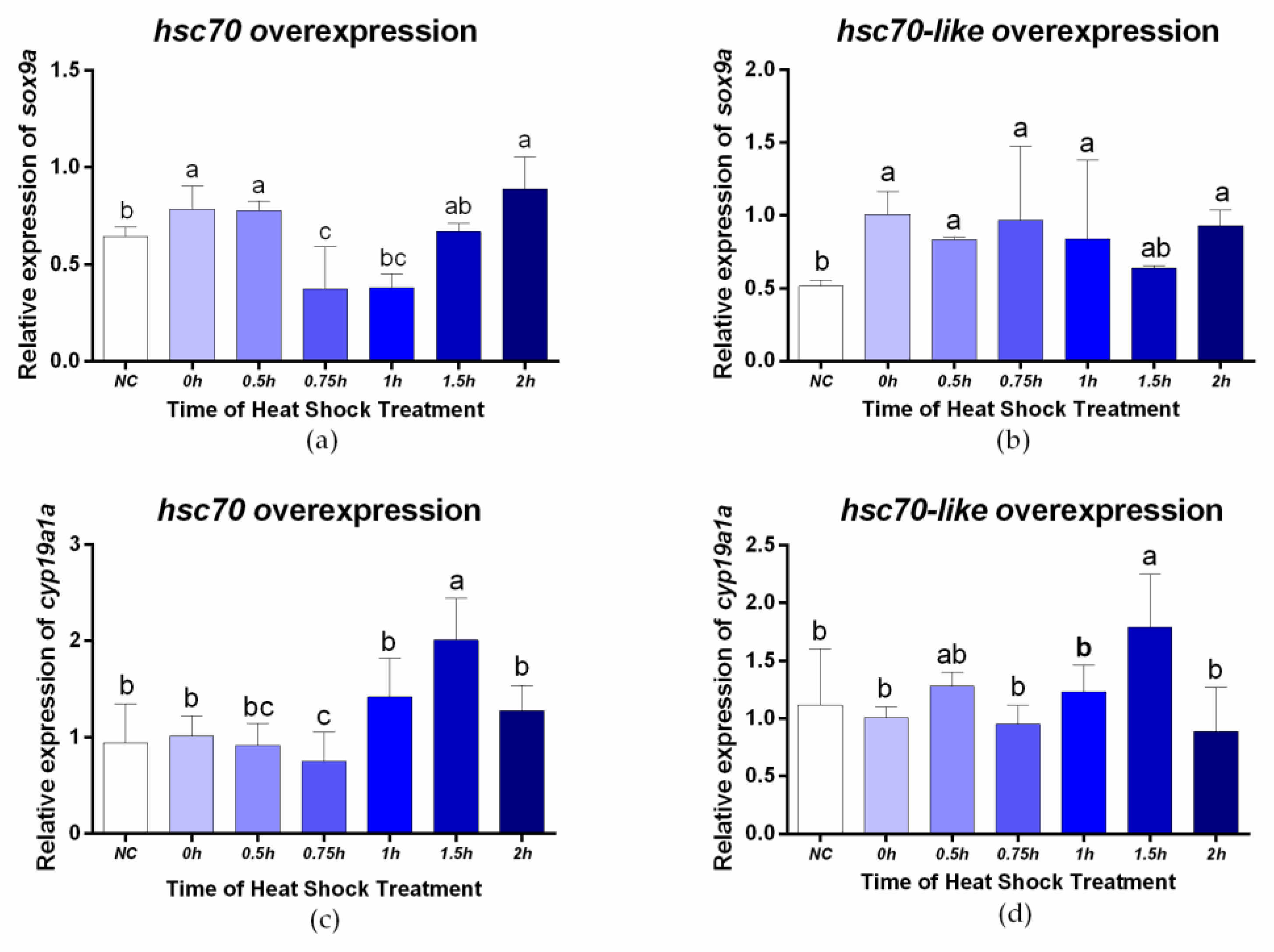 Ijms 24 03761 g008 Ijms 24 03761 g008