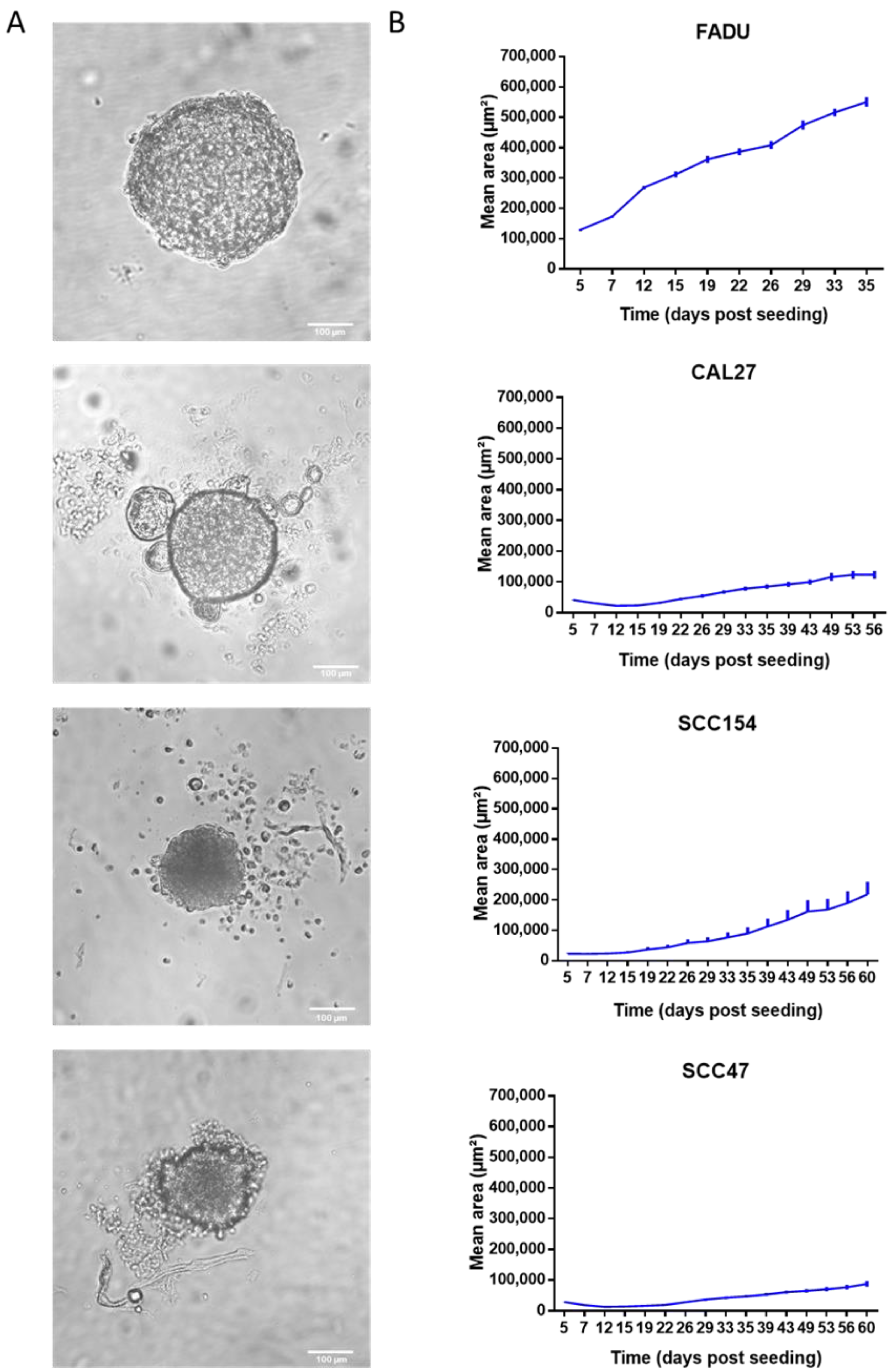 Ijms 24 03763 g001 550
