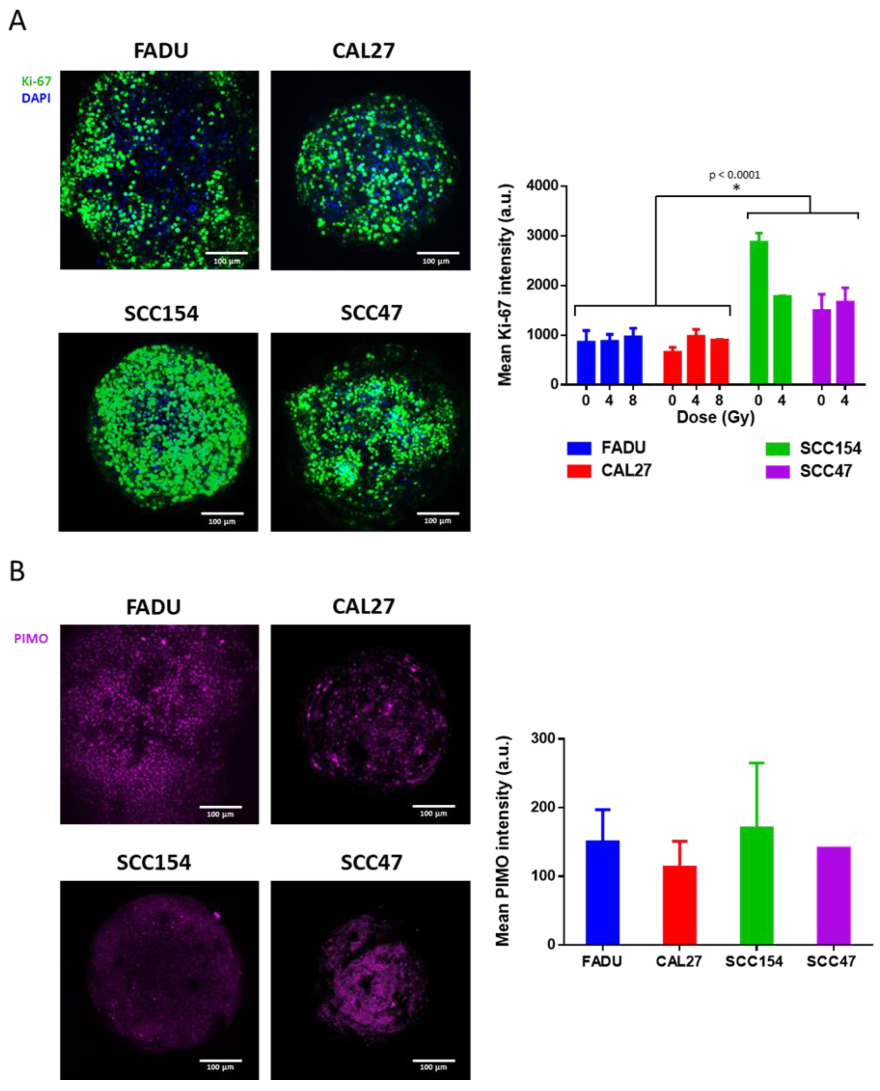 Ijms 24 03763 g004 550