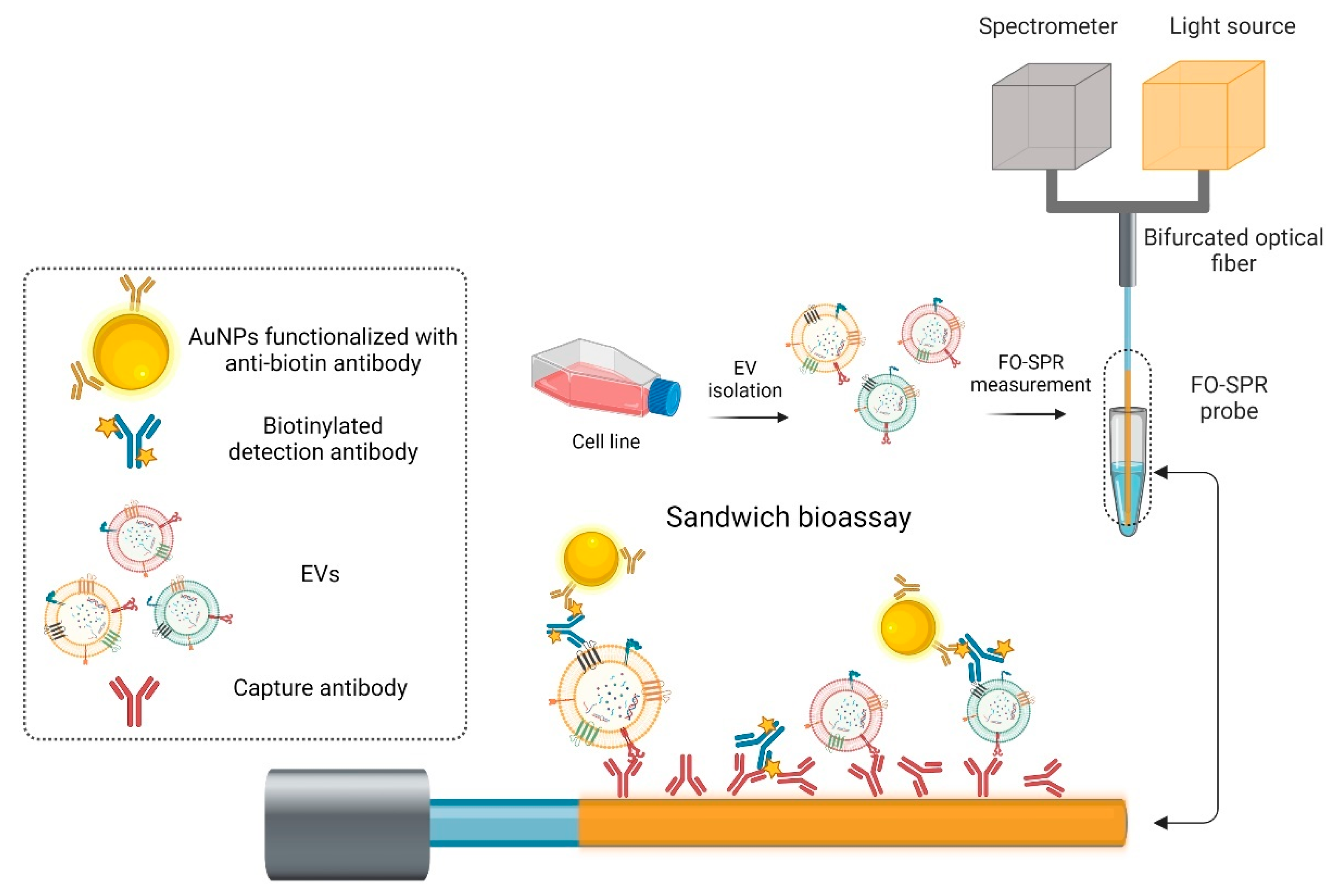 Ijms 24 03764 sch001 550