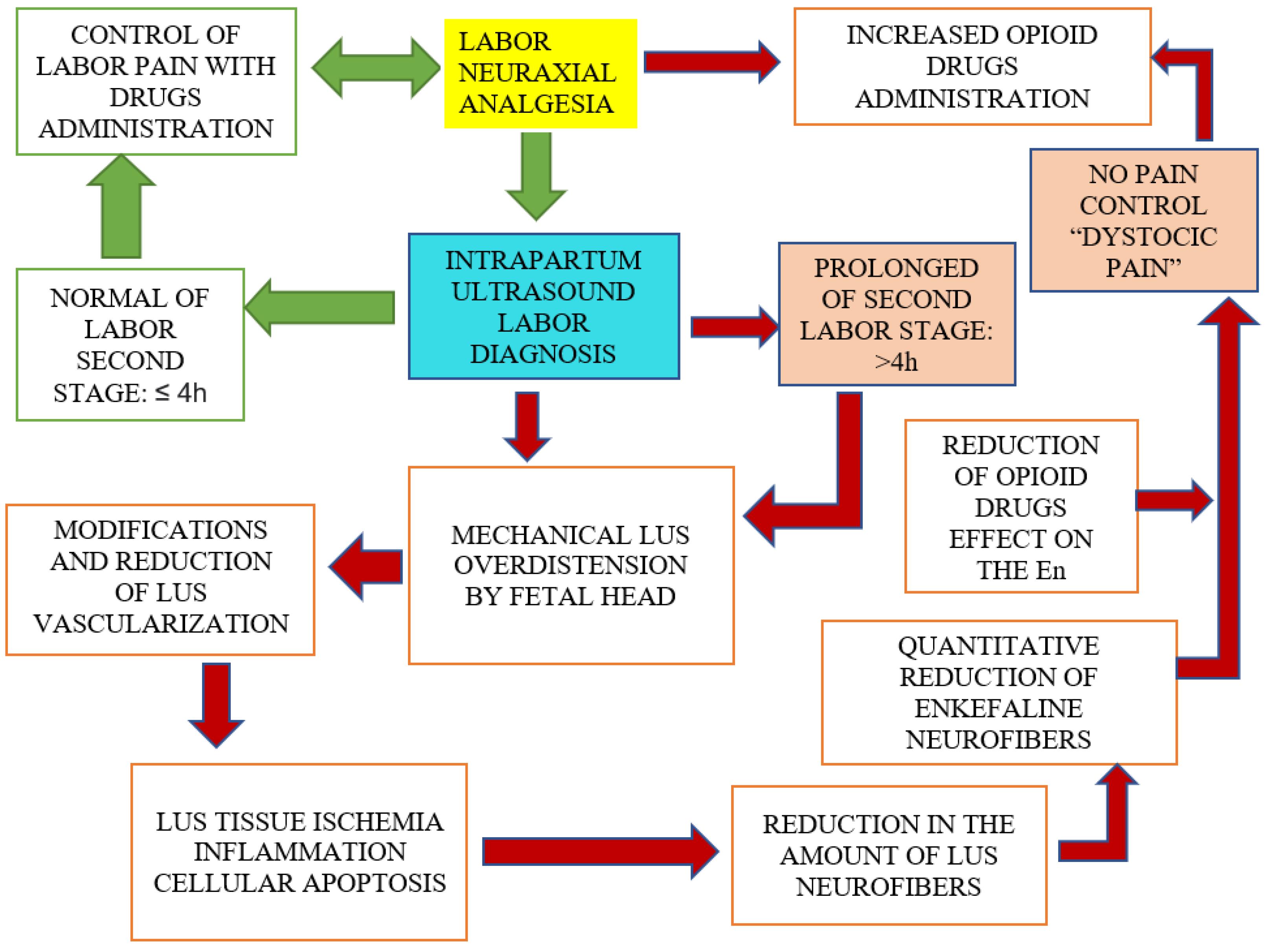 Ijms 24 03767 g001 550