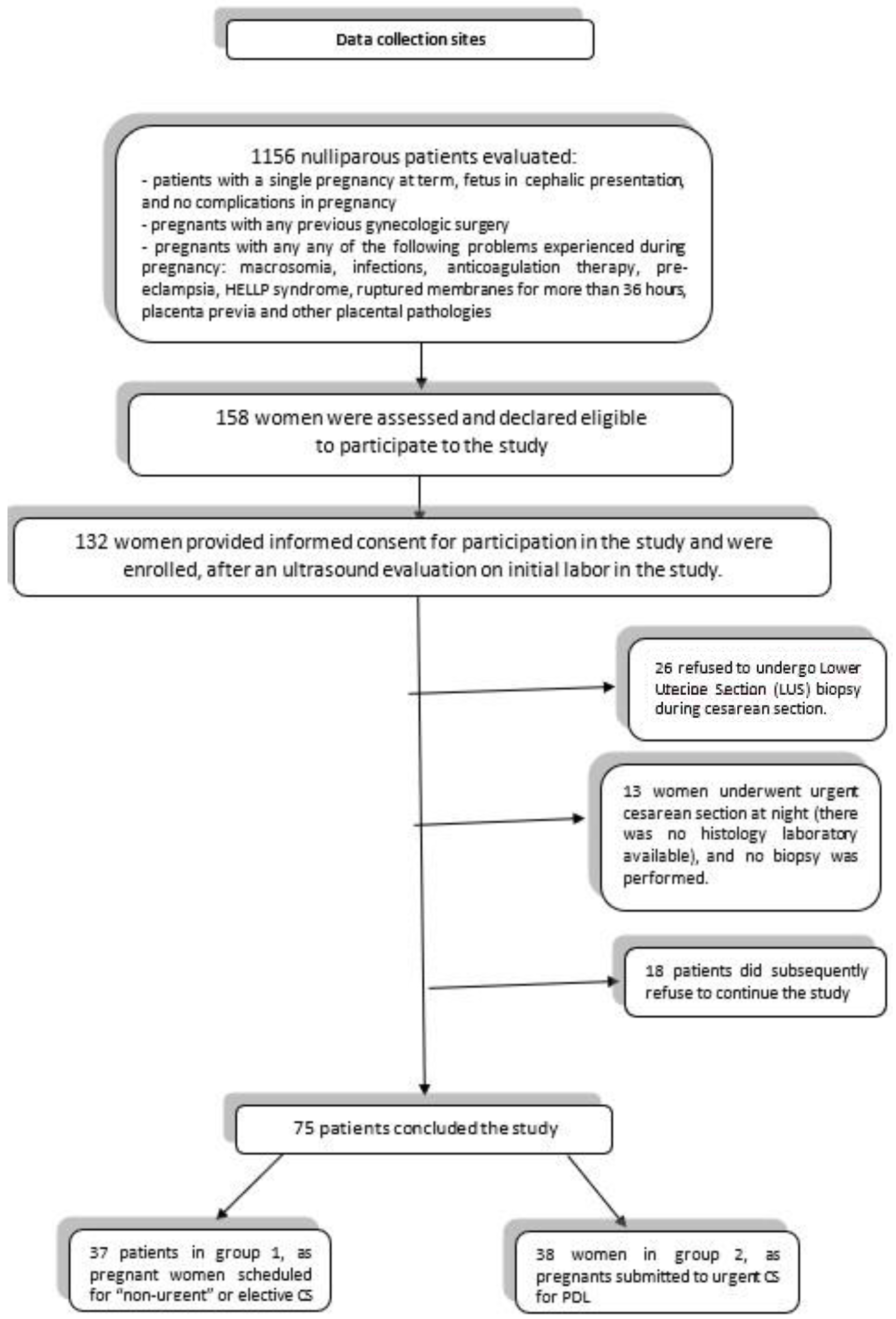 Ijms 24 03767 g002 550