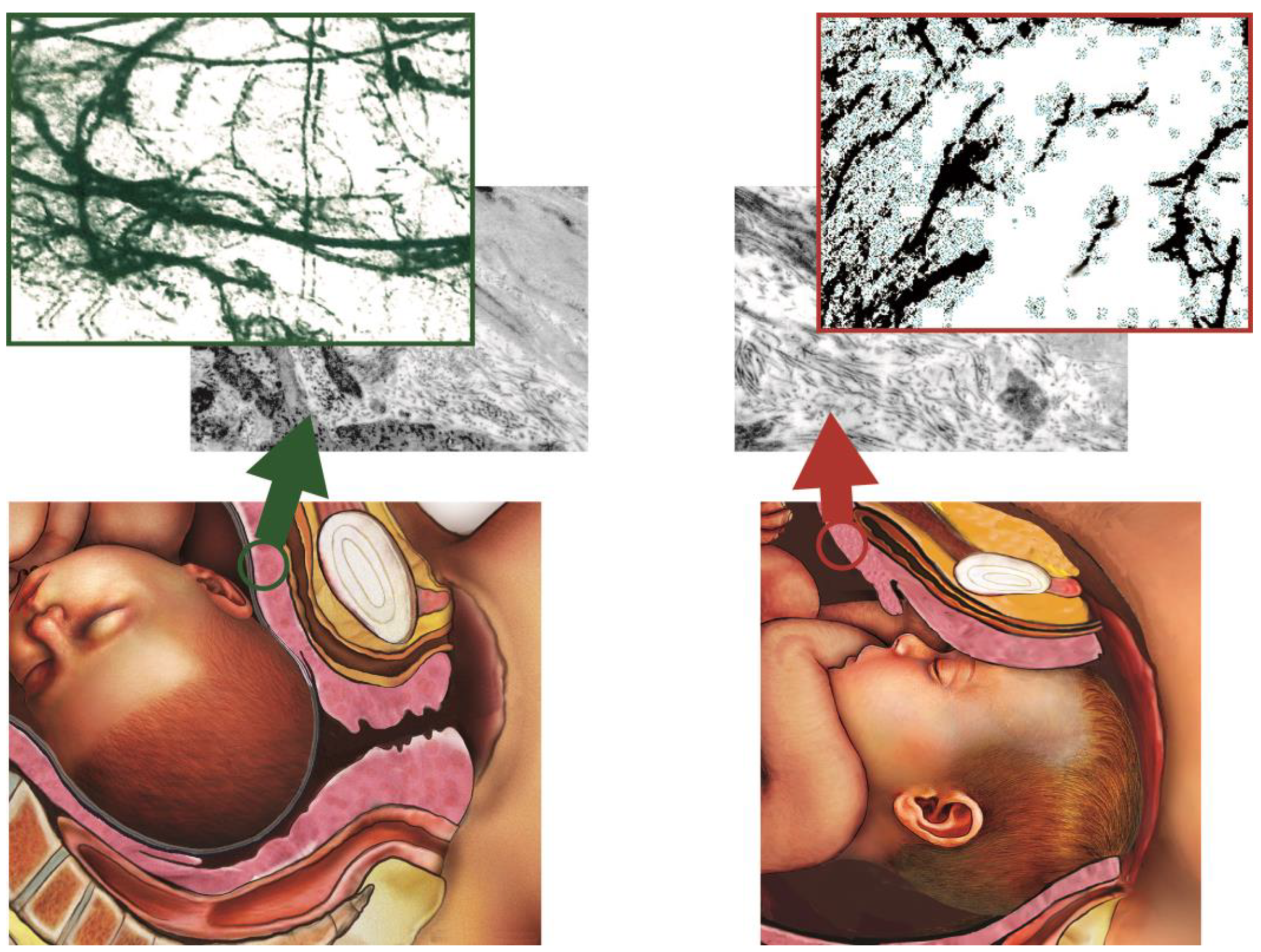 Ijms 24 03767 g003 550