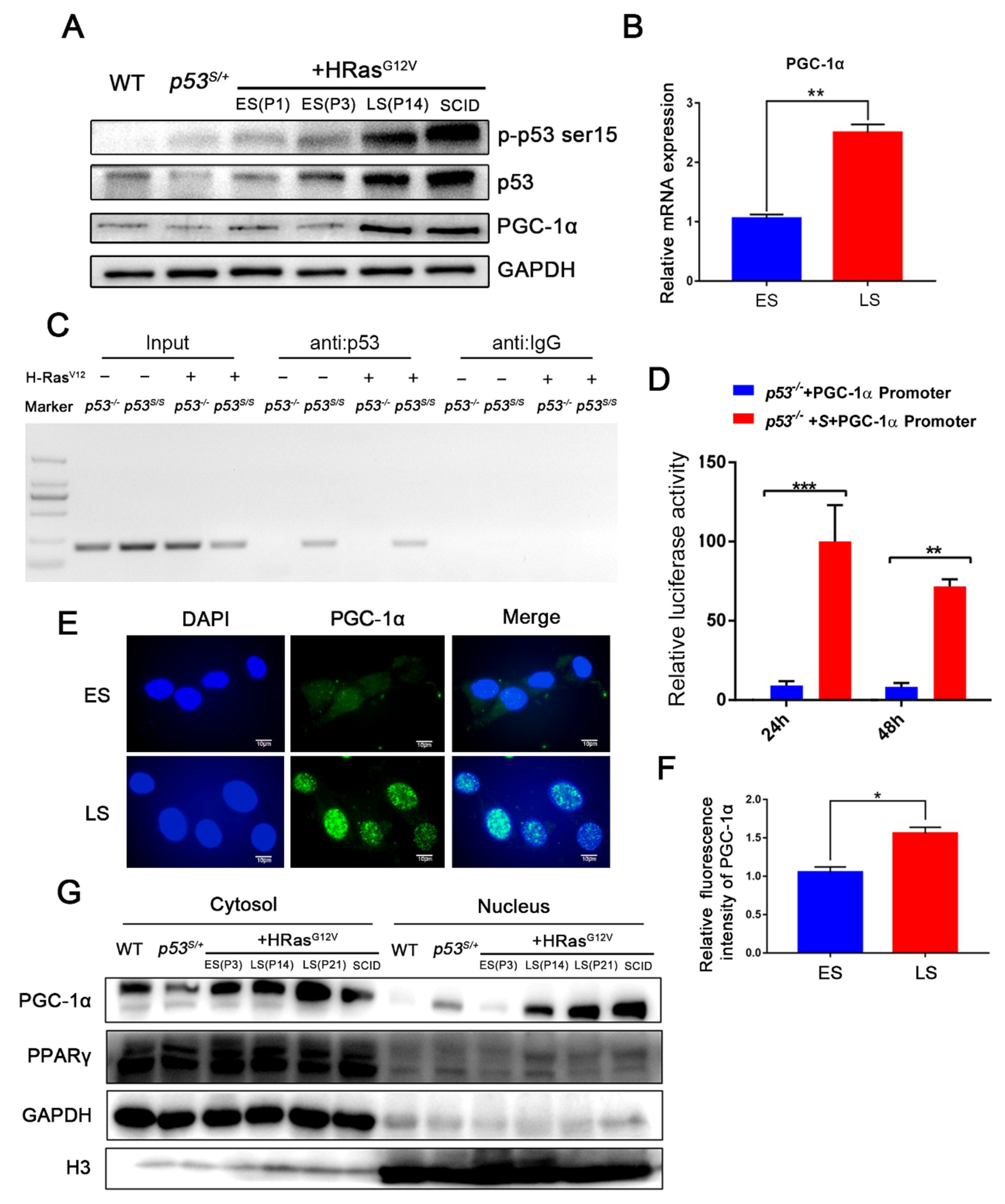 Ijms 24 03790 g002 Ijms 24 03790 g002