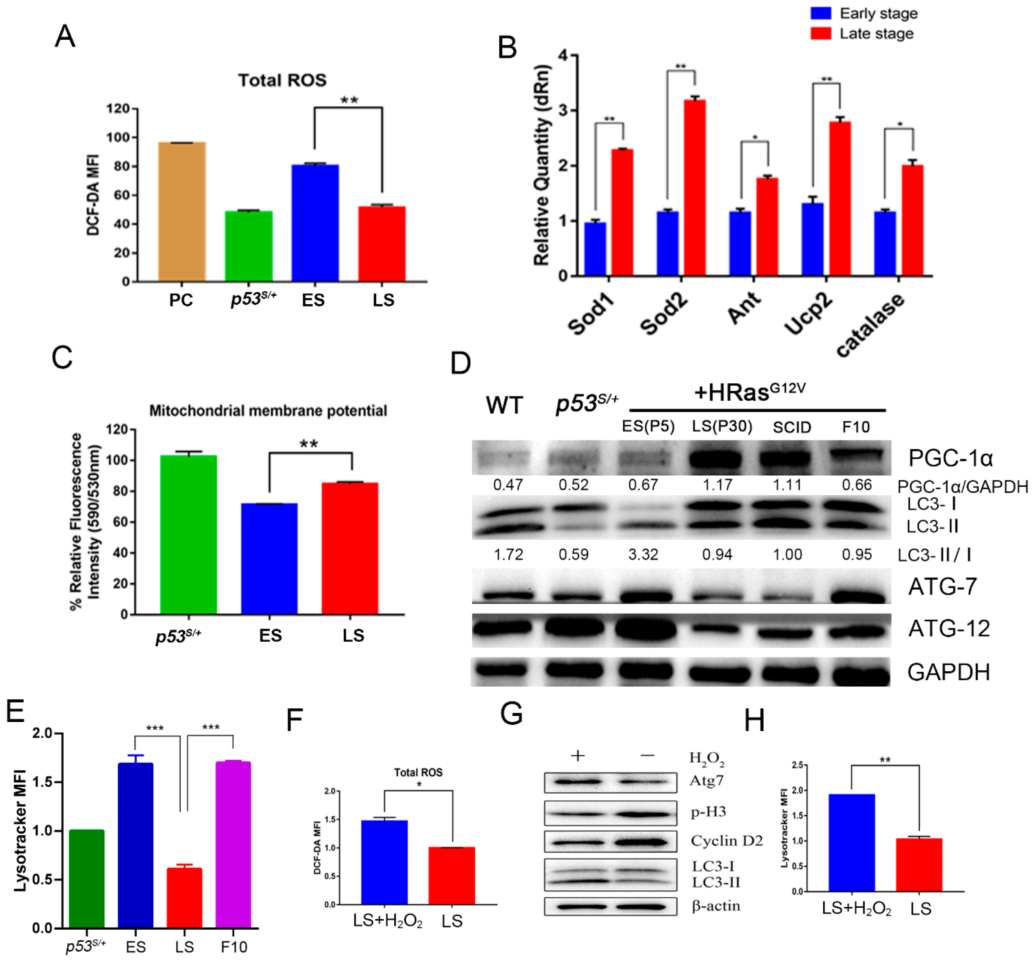 Ijms 24 03790 g004 Ijms 24 03790 g004