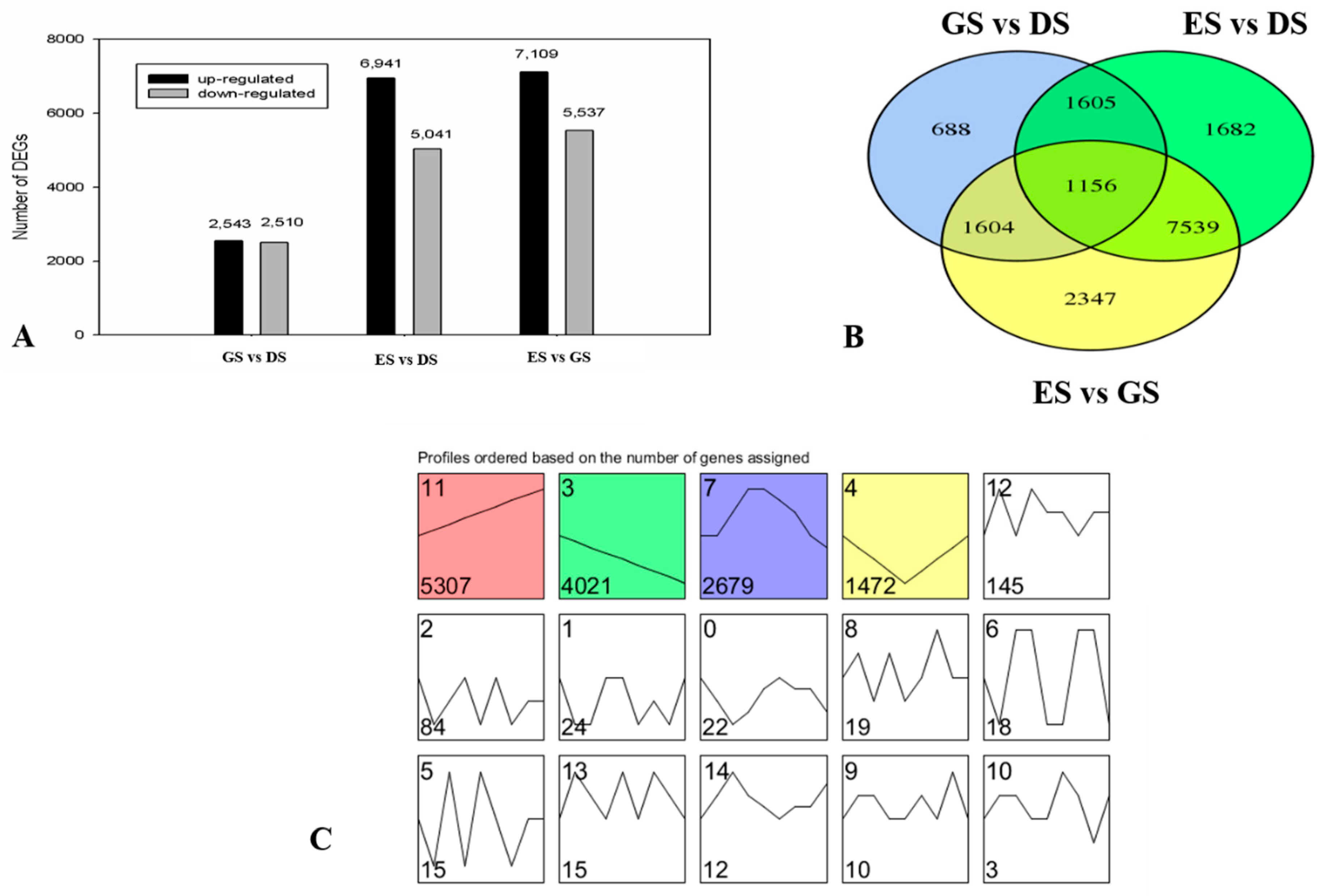 Ijms 24 03792 g004 Ijms 24 03792 g004