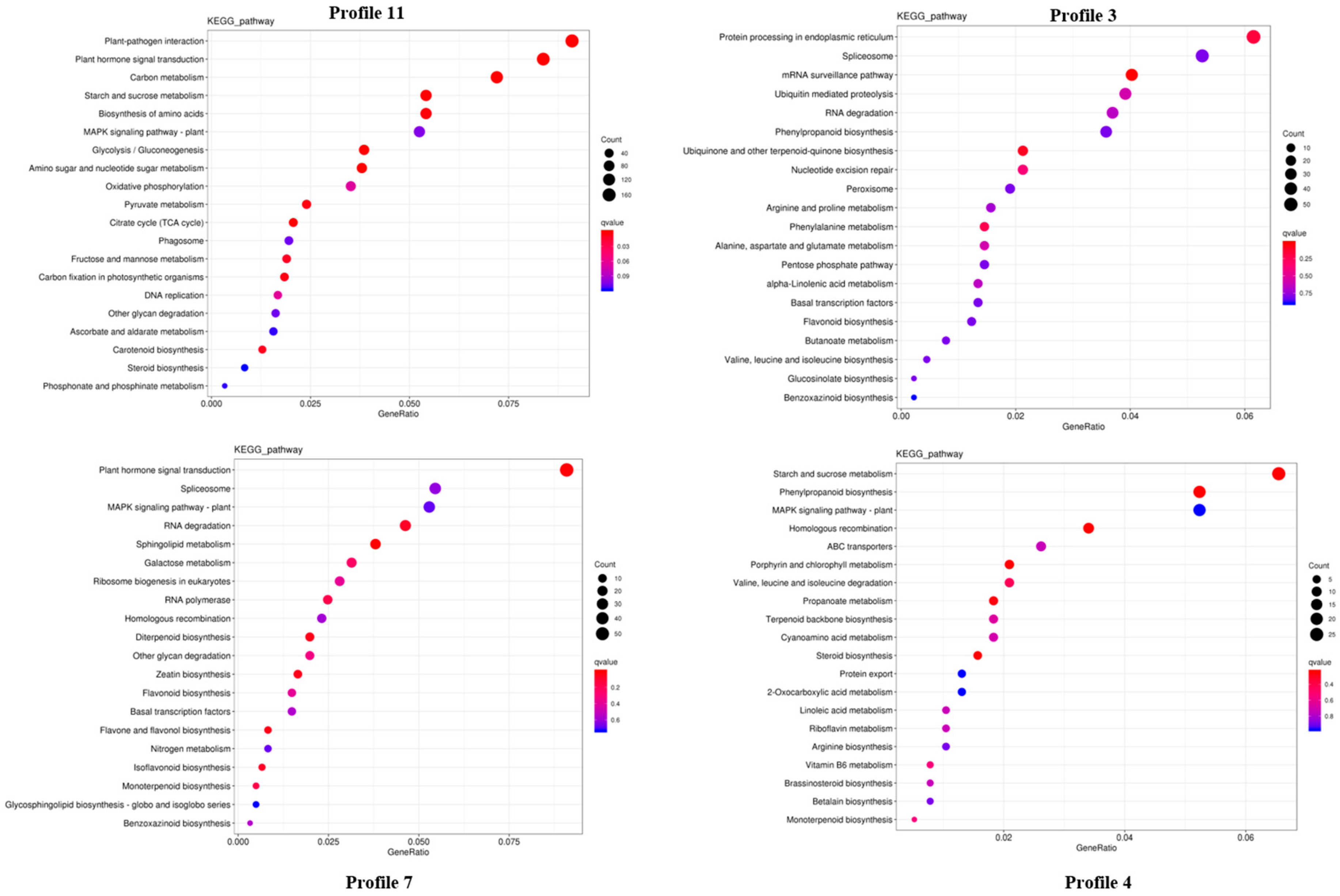 Ijms 24 03792 g005 Ijms 24 03792 g005