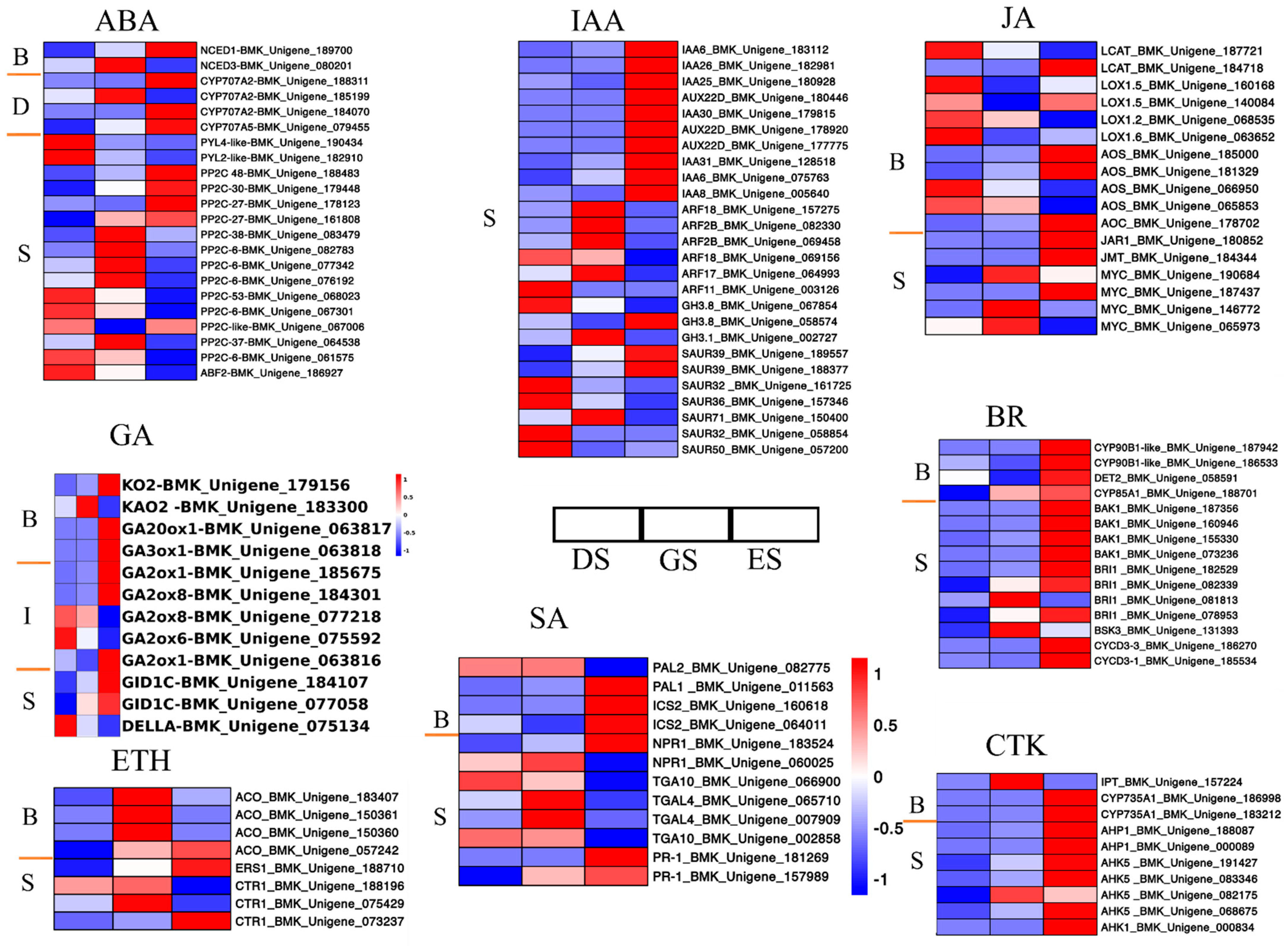 Ijms 24 03792 g006 Ijms 24 03792 g006