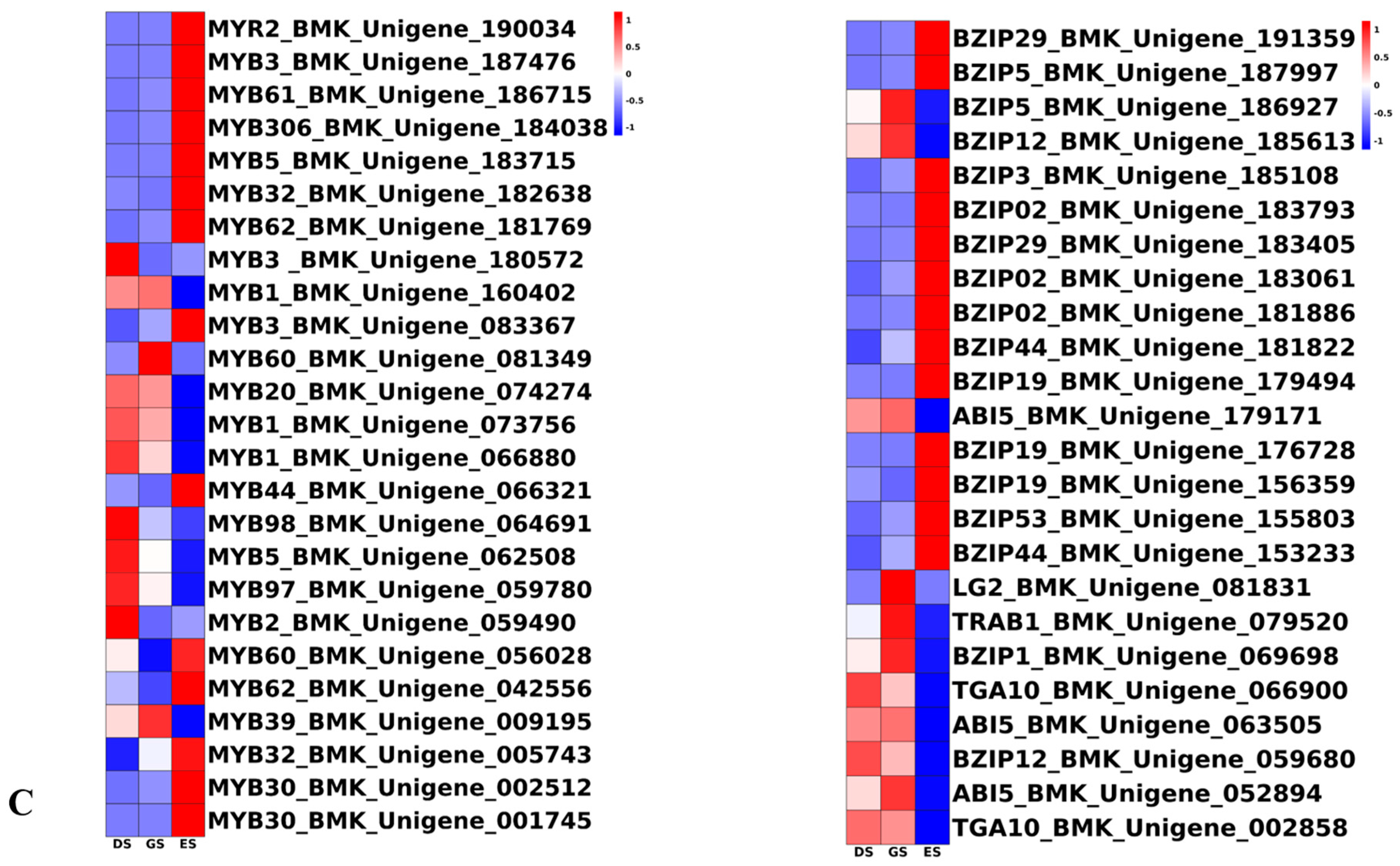 Ijms 24 03792 g008b Ijms 24 03792 g008b