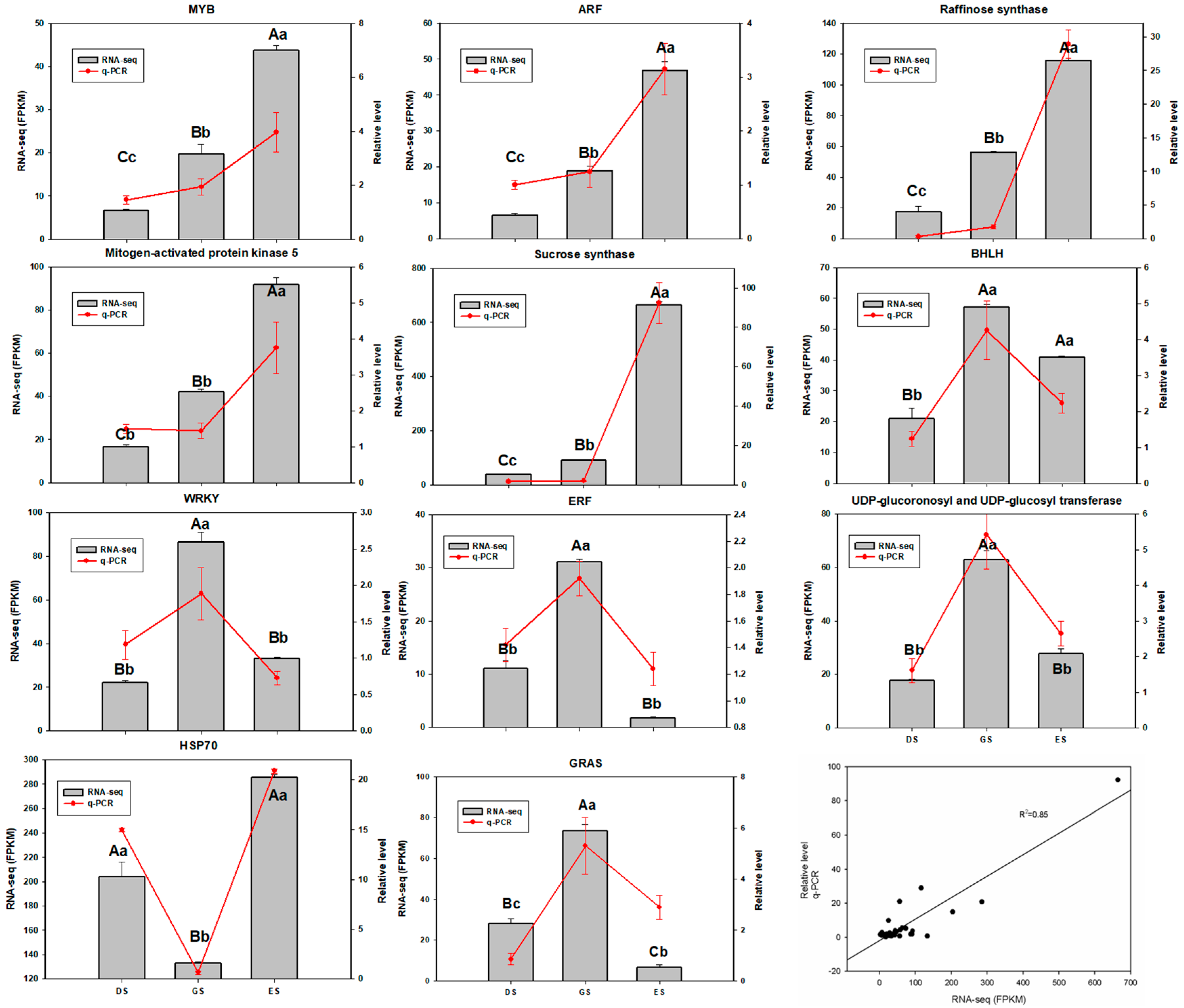 Ijms 24 03792 g009 Ijms 24 03792 g009
