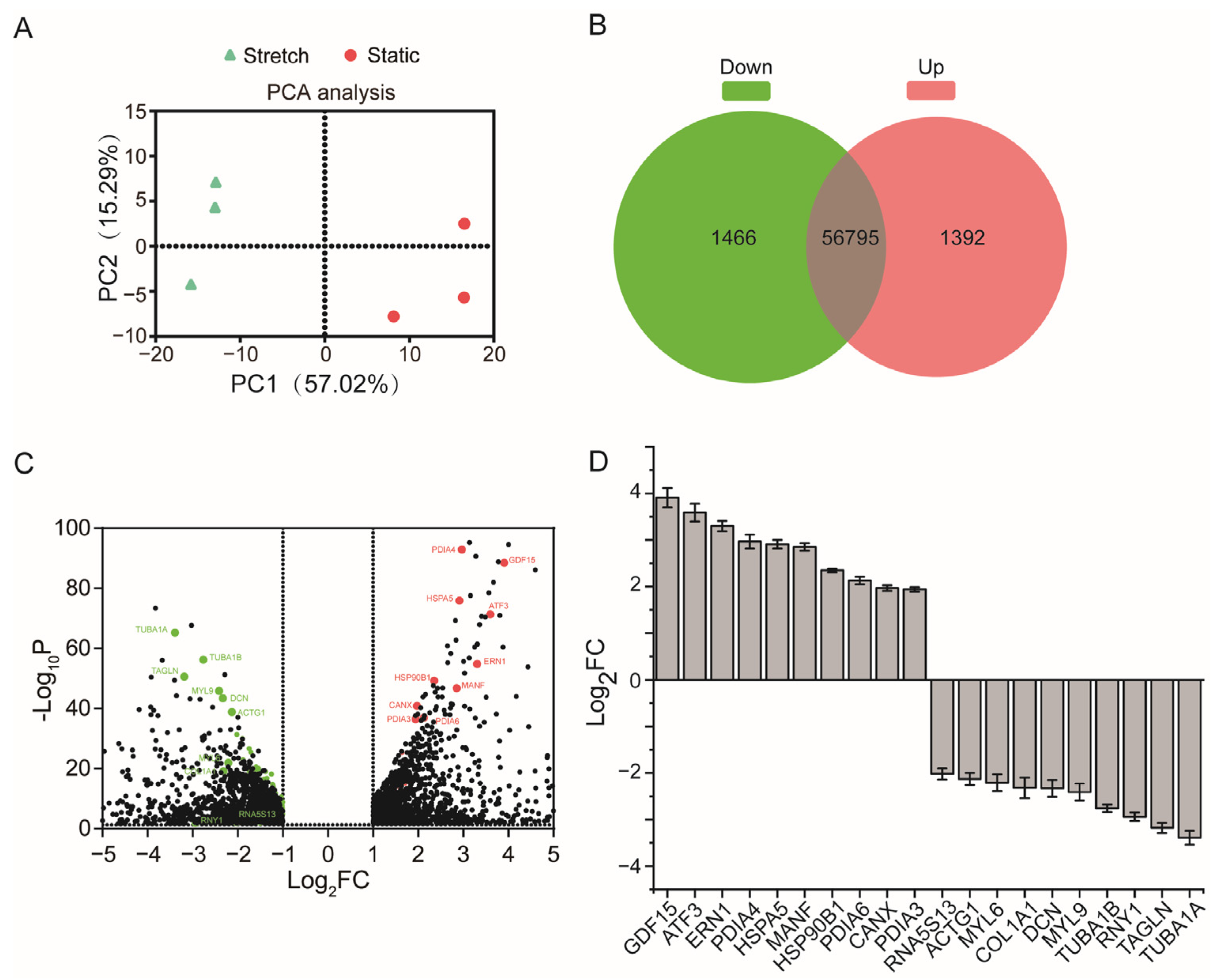 Ijms 24 03811 g001 Ijms 24 03811 g001
